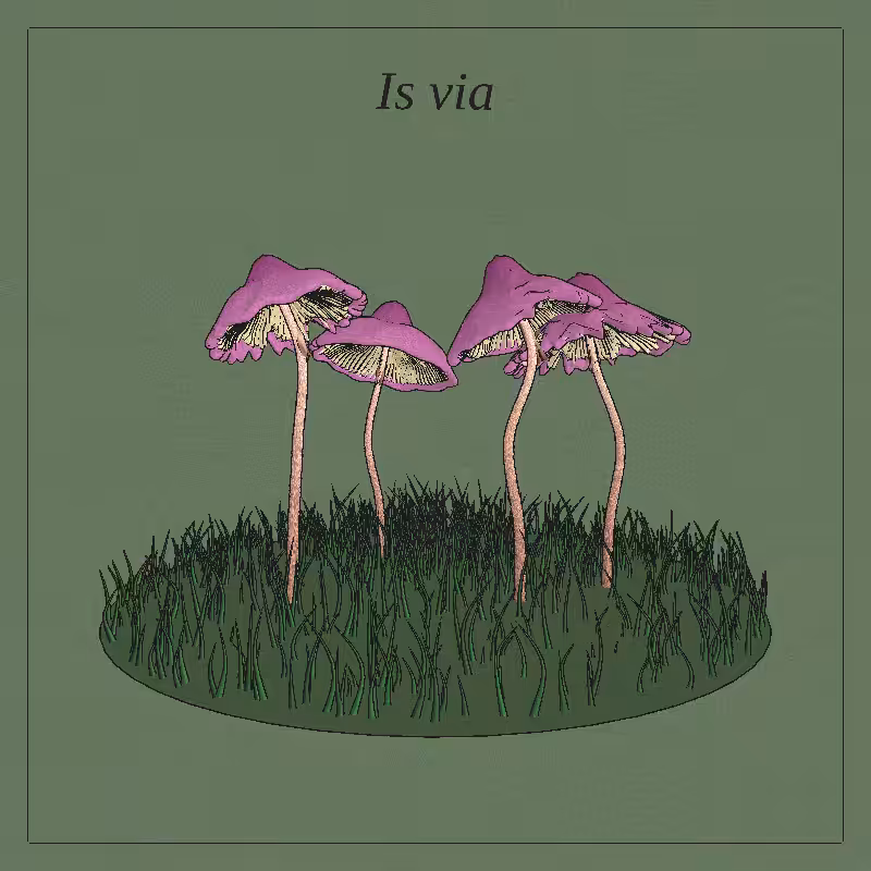 SHROOMS 3D #65