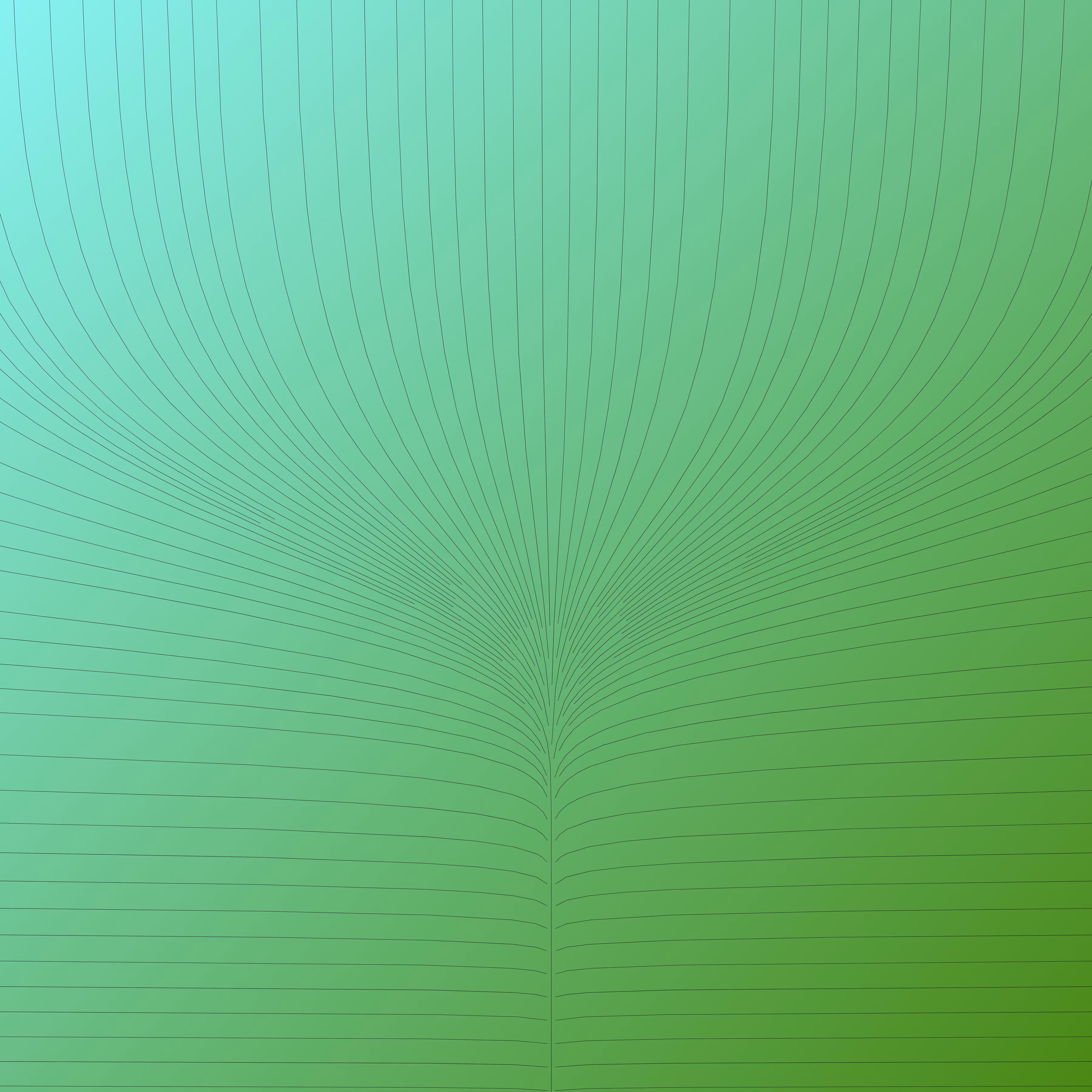 Flowlines #2