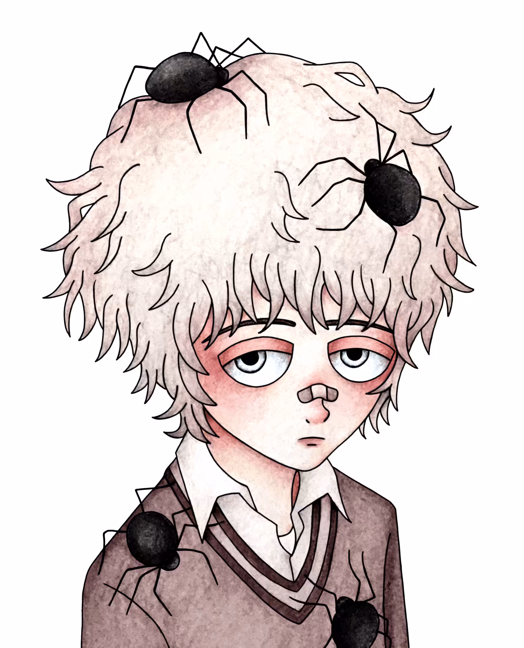 Spider Boy