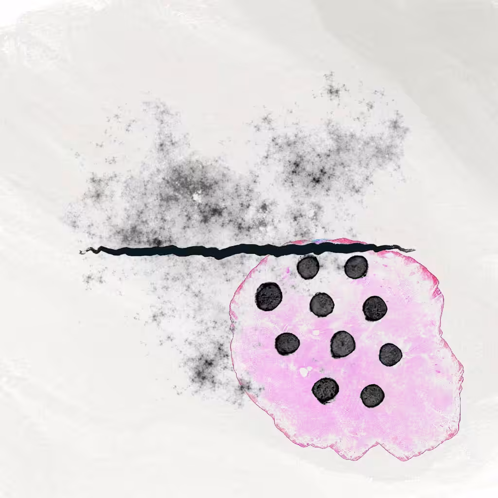 Strokes on Tezos by gmi.sh #5