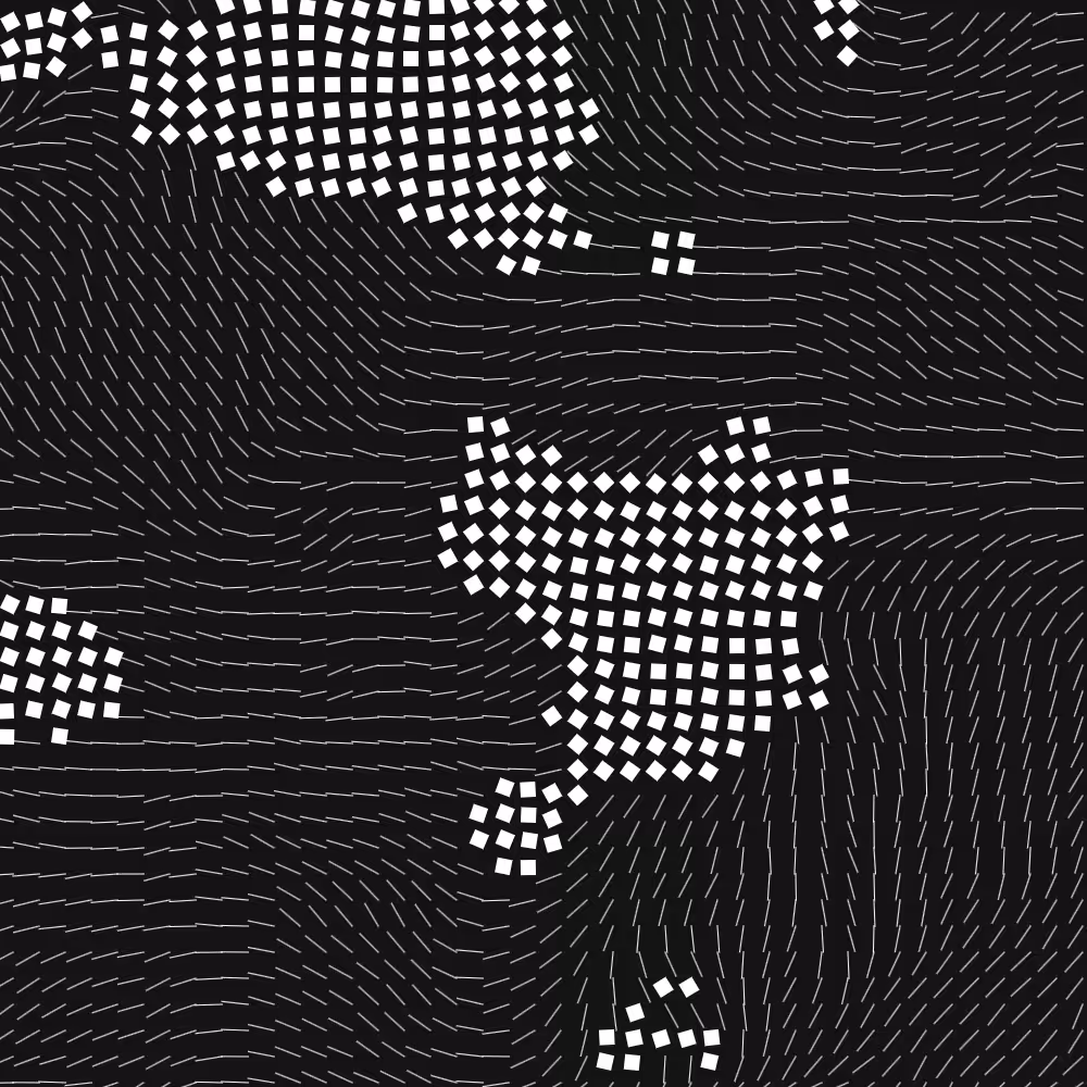 Geometric Fluidity #895