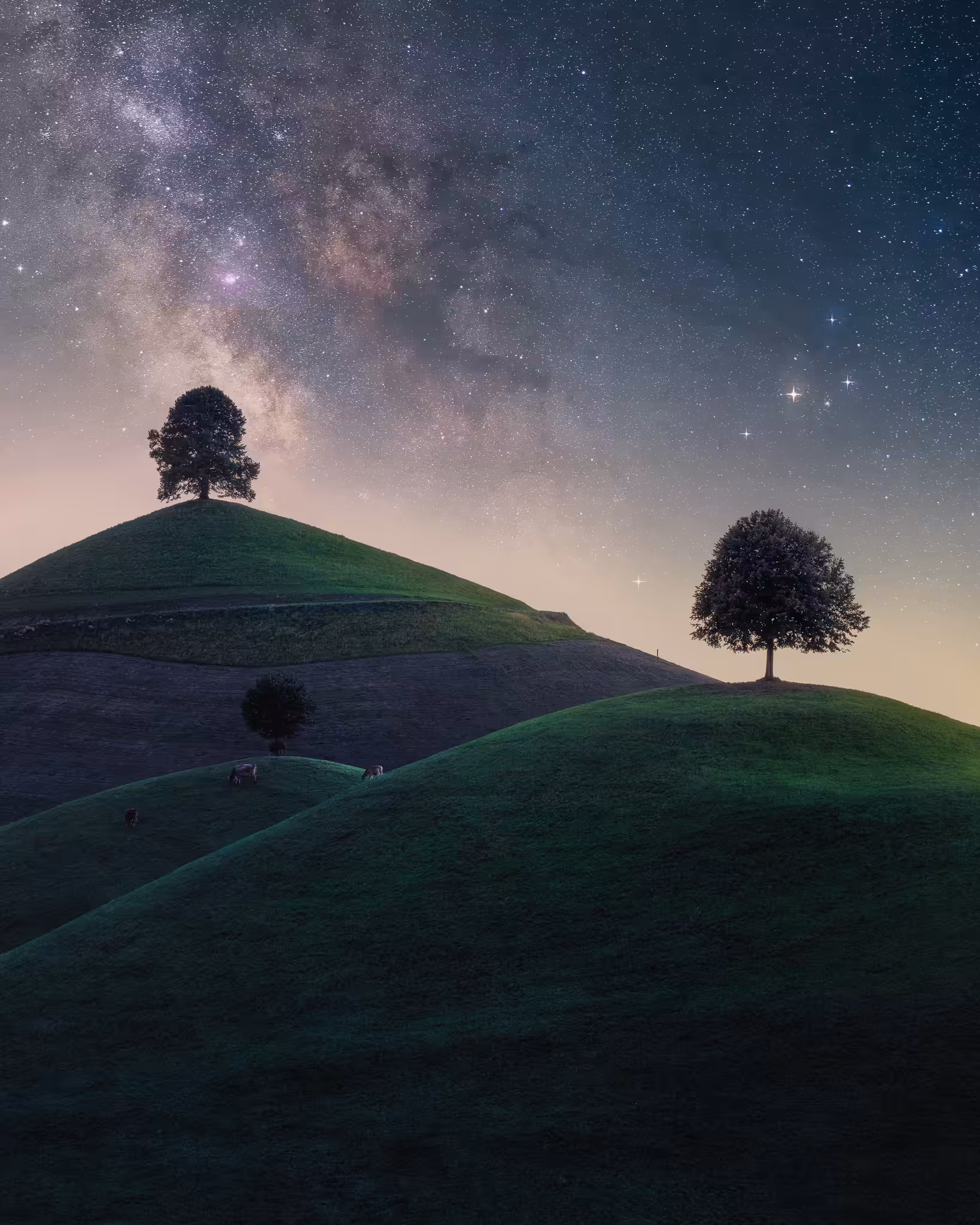 A Summer Night