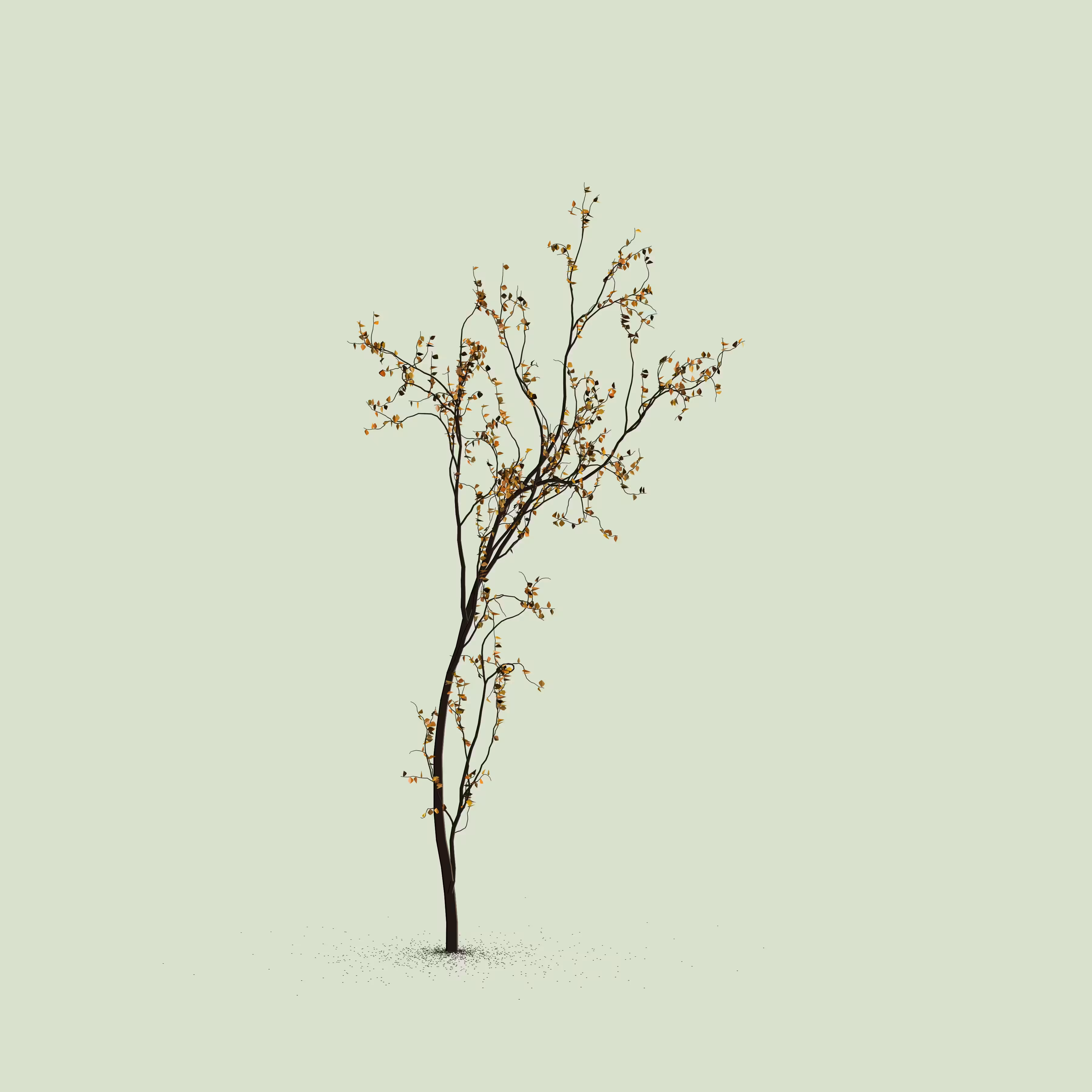 Little Trees #16