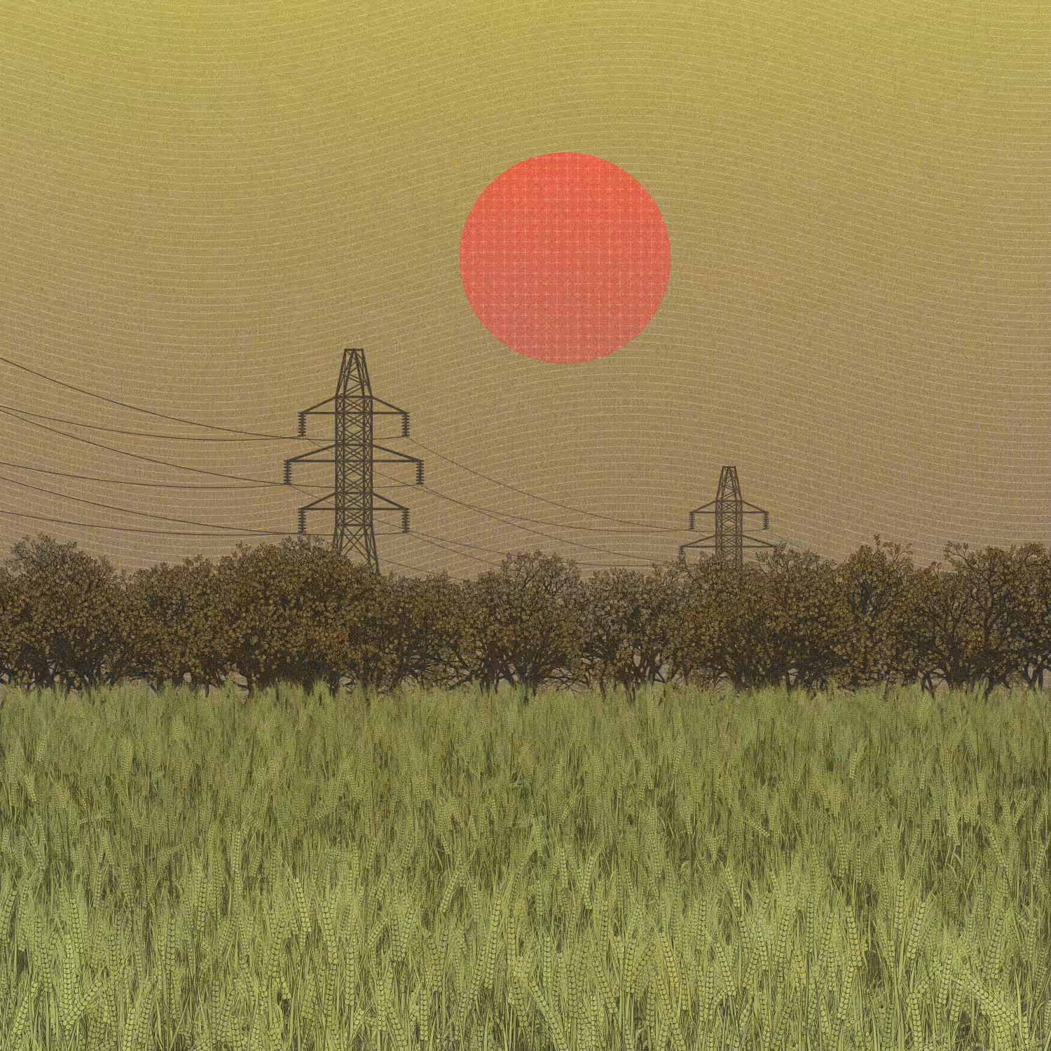 Fields of the Abandoned Homeland #12