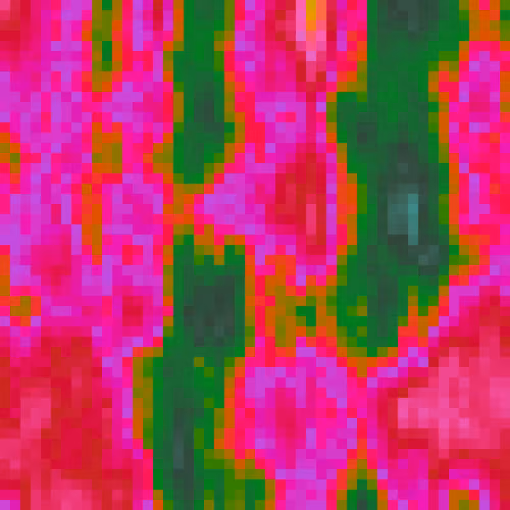 Discovered Spectra #10