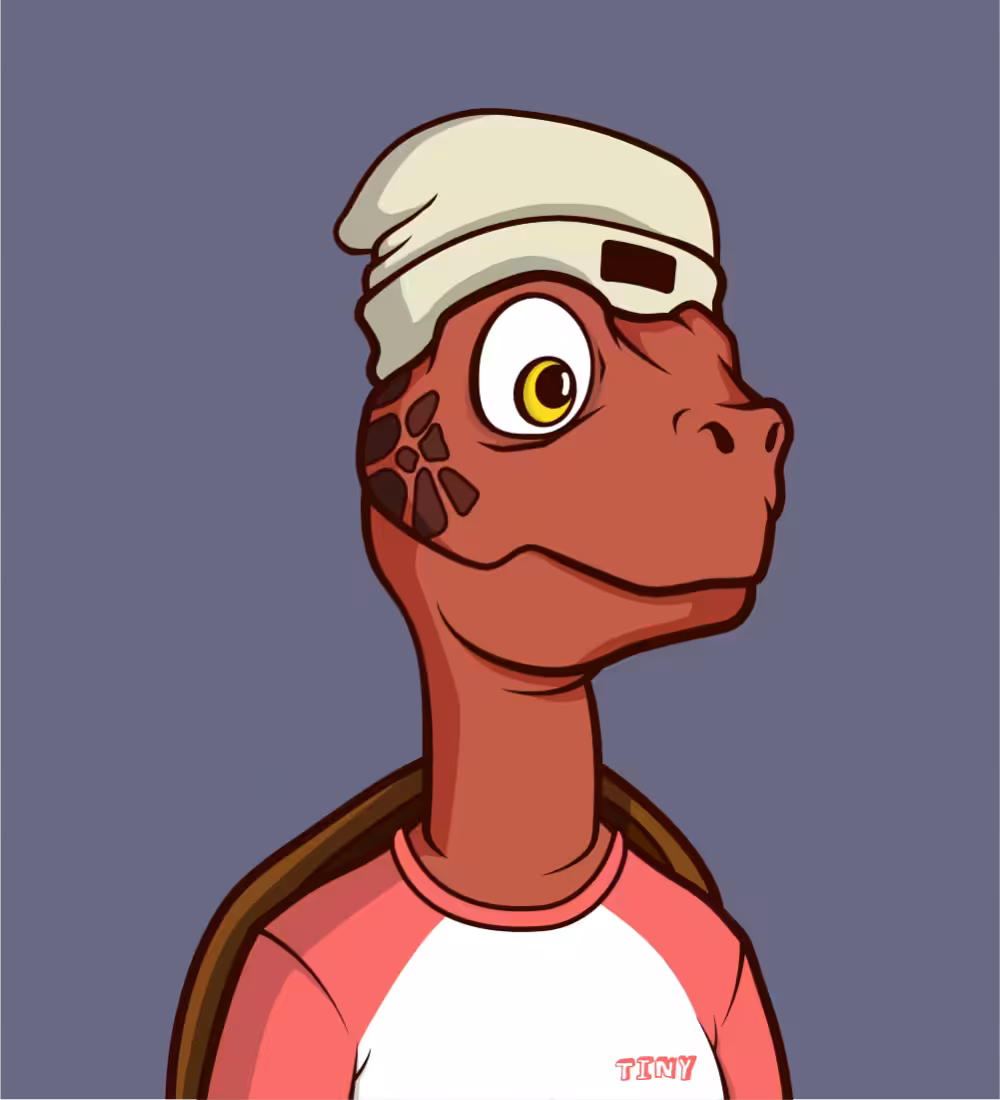 Tiny Turtle's: Tiny Turtle 212