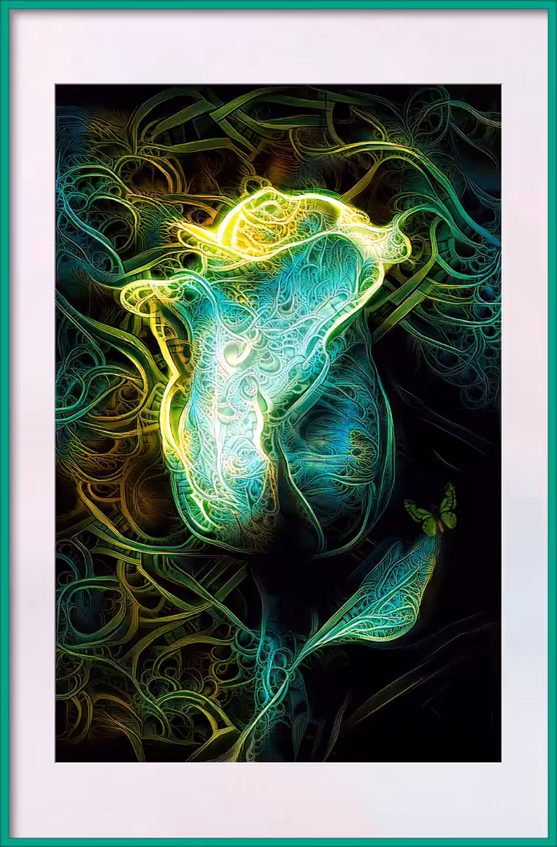 The flower of forgotten illusions