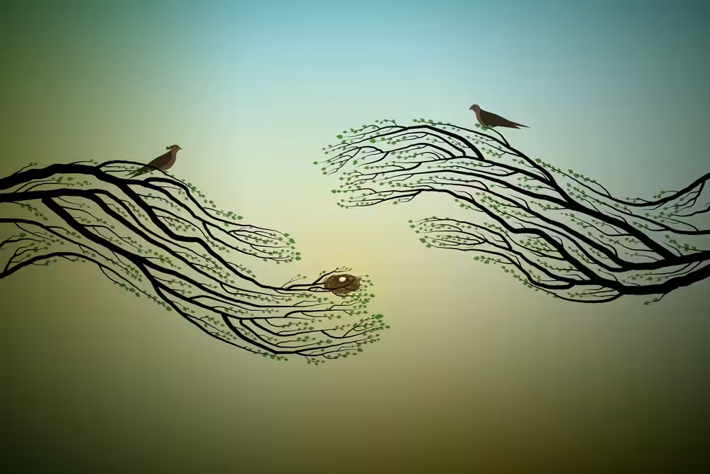 TREES