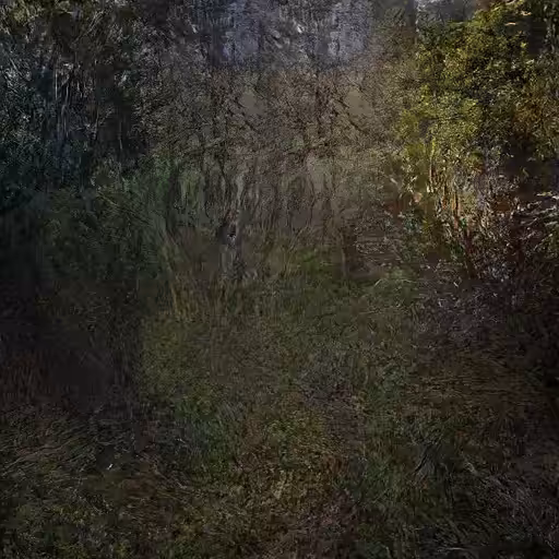 Woods