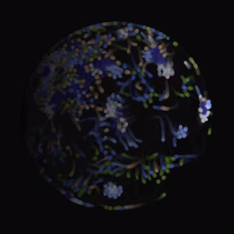 Earth #52