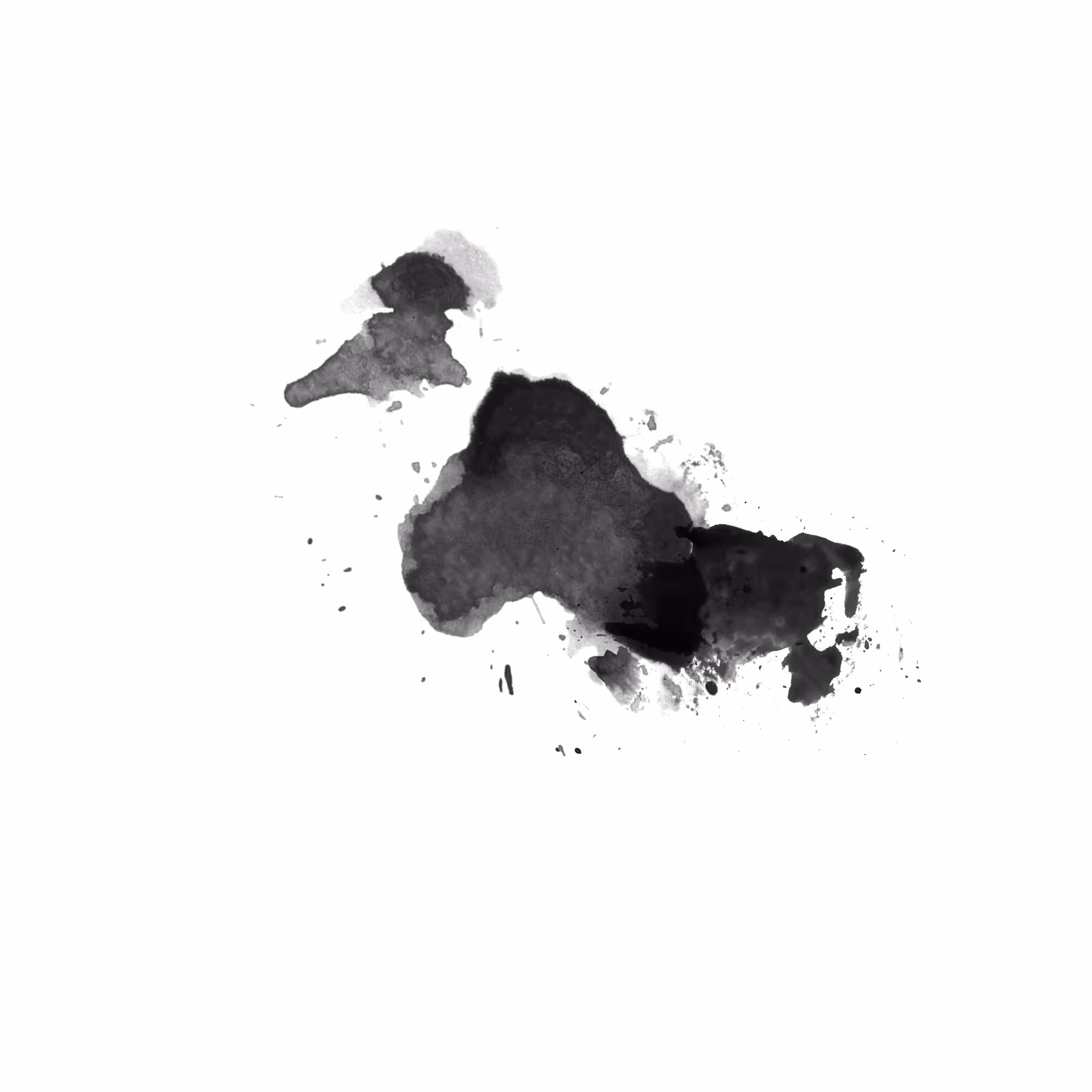 Fifteen