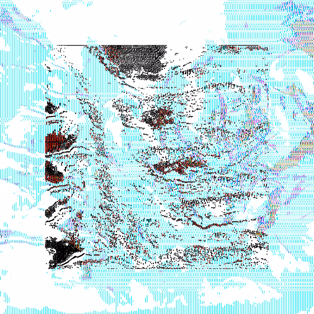 CHX-1 #18
