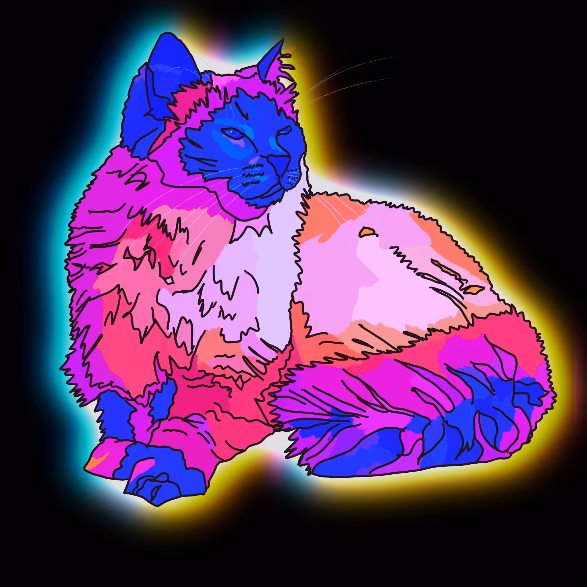 Patchwork Ragdoll