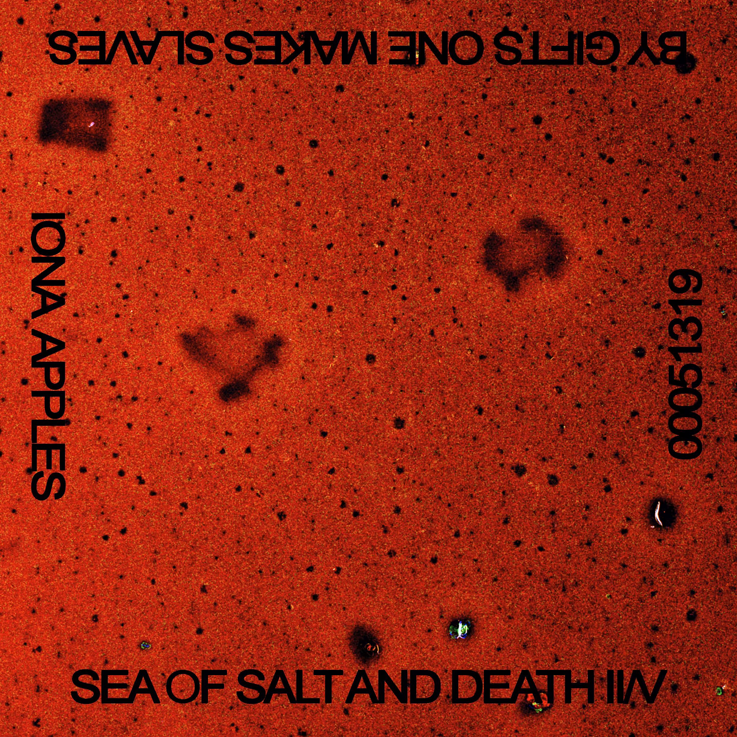 00051319 / SEA OF SALT AND DEATH II/V