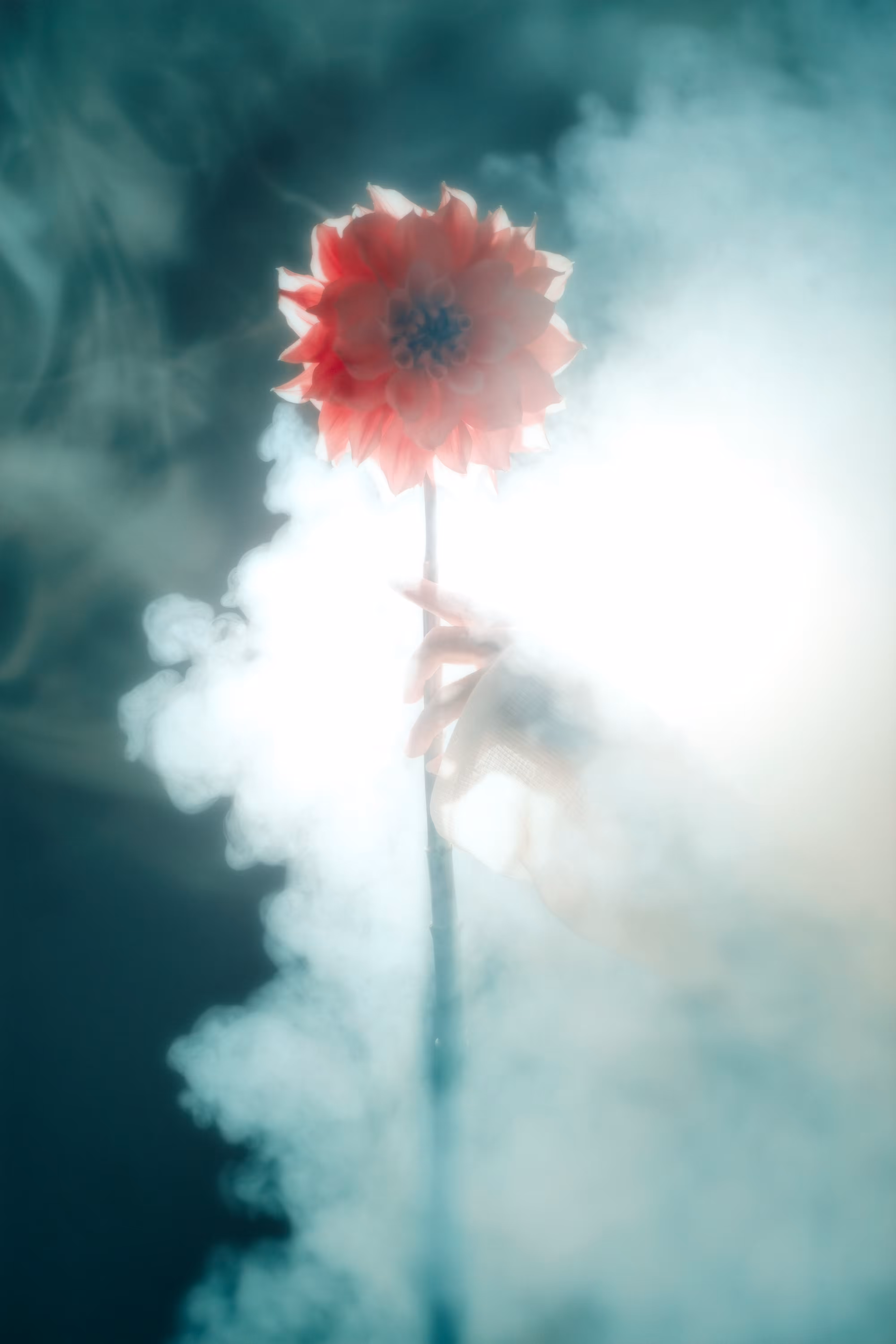 Veil of Light 
