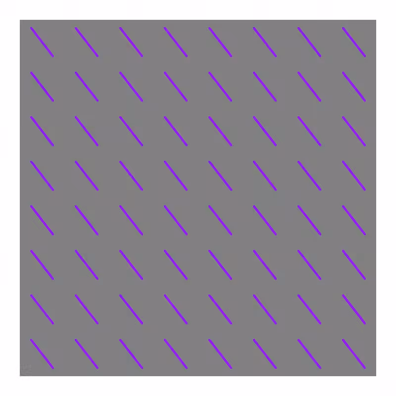 FLATWORLD #494