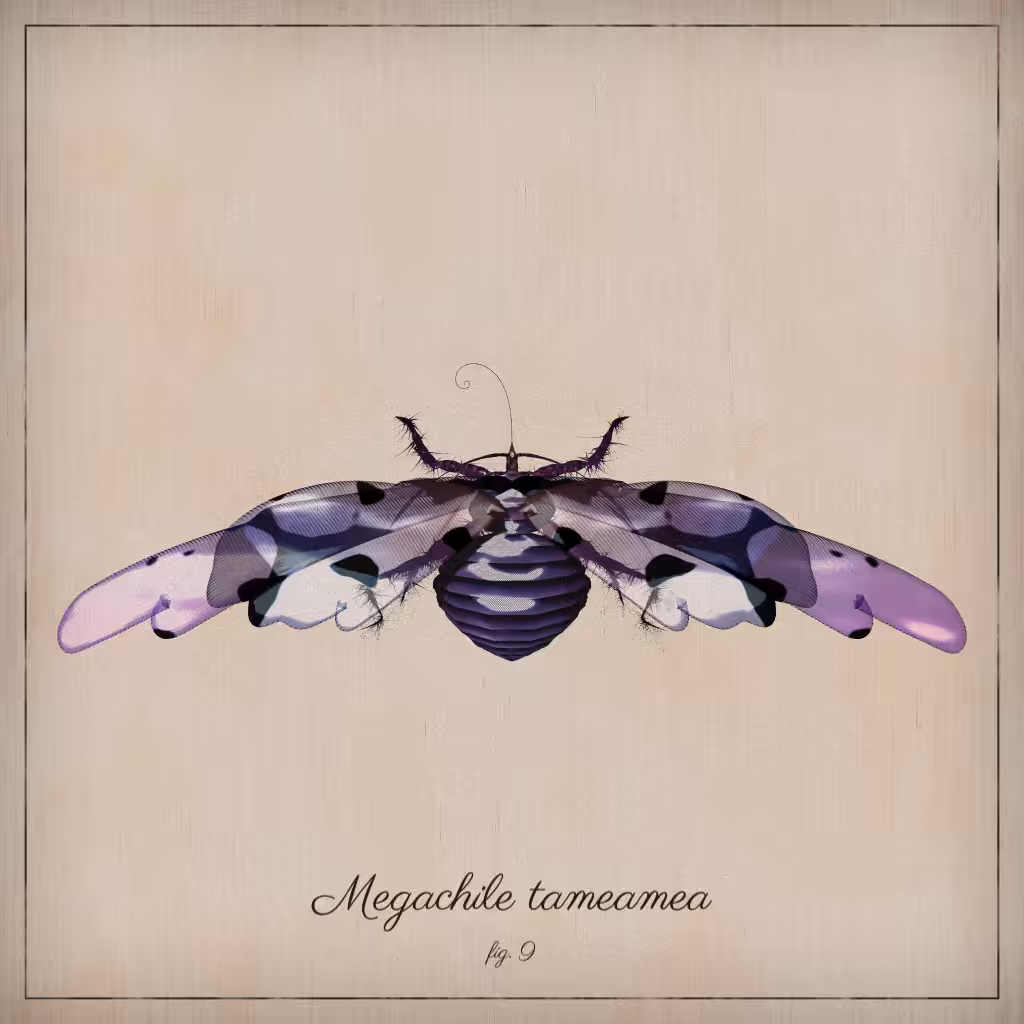 ProcGen Entomology #181