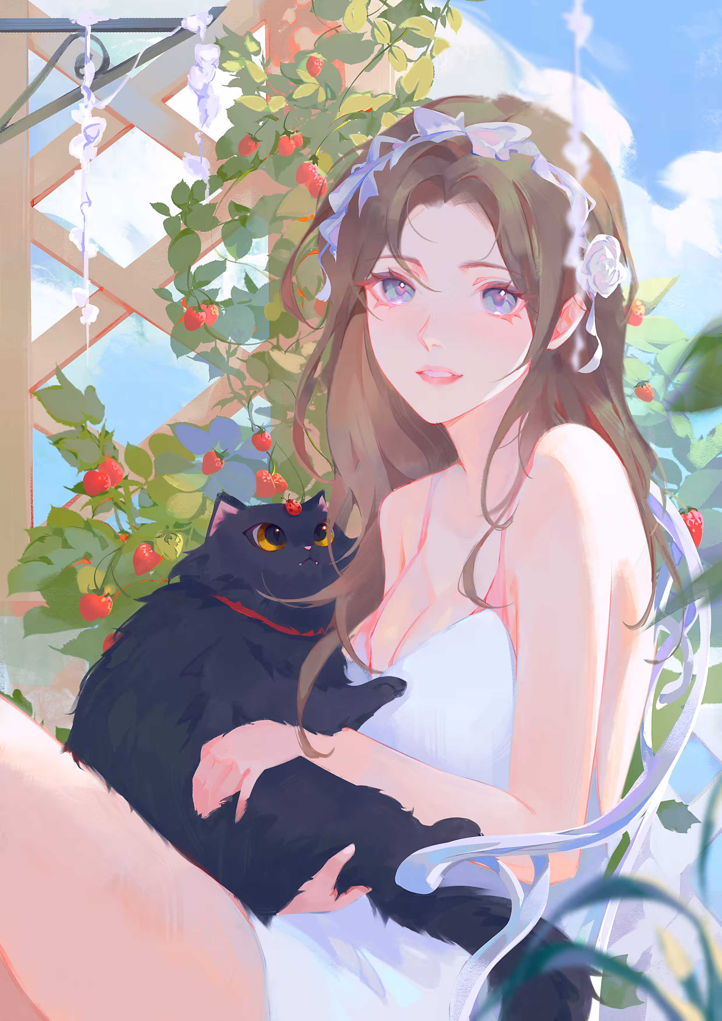GMeow 