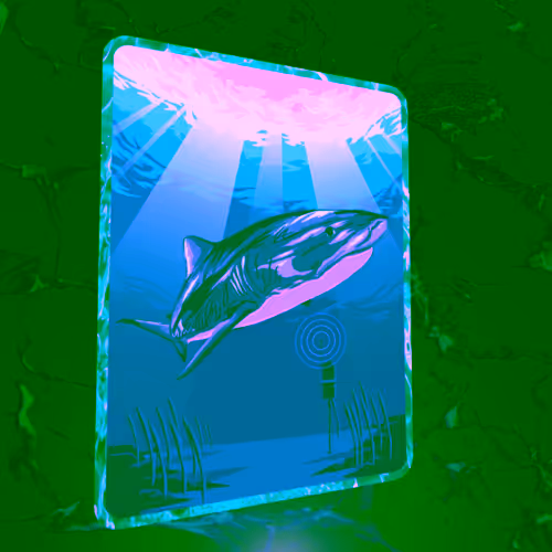 Tiger Shark - Acoustic ‘Pinger’ Tag