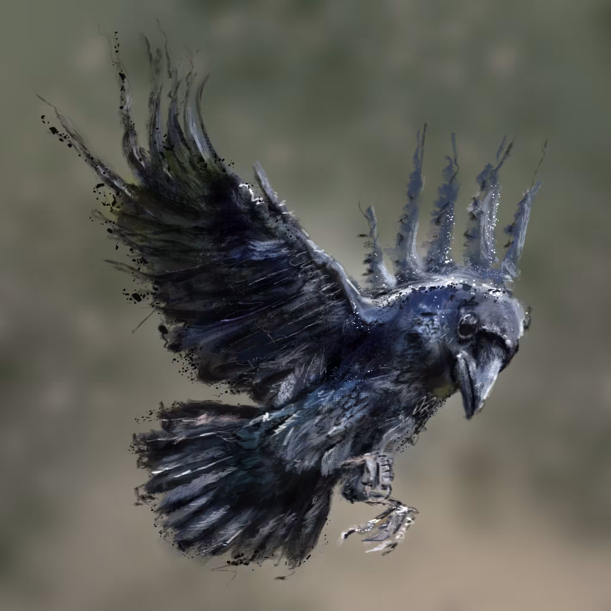 Kraai