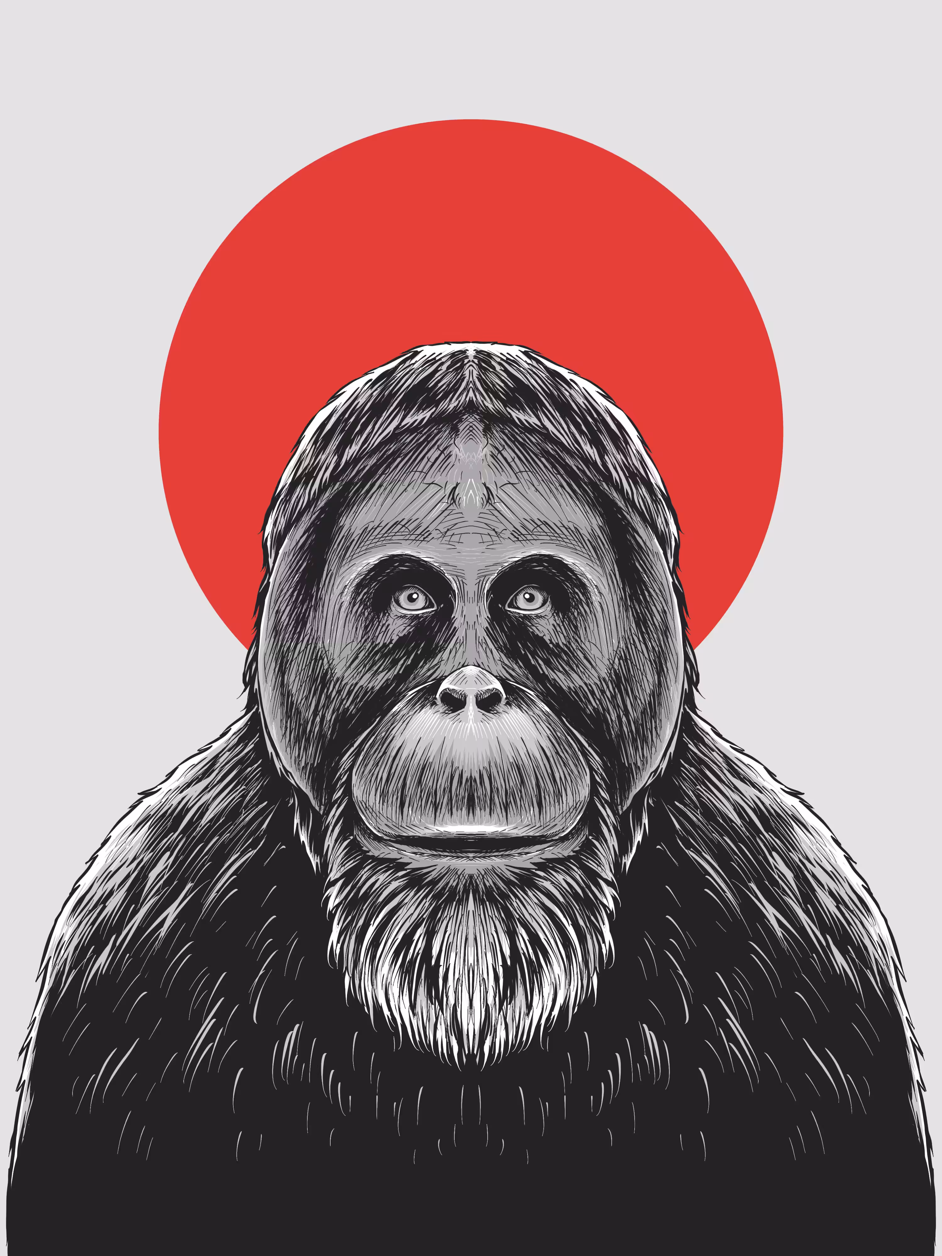 Orang Utan