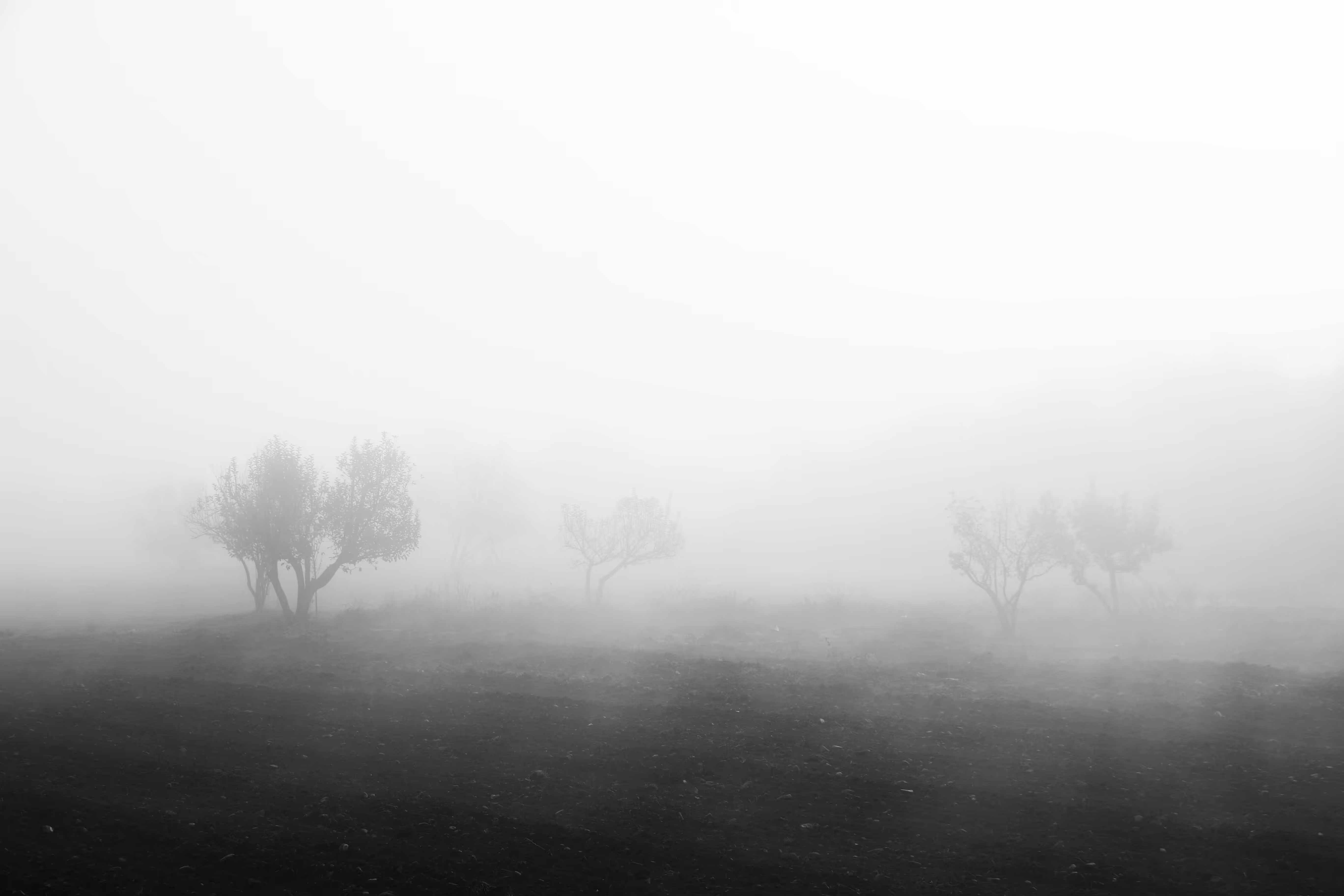 Lost in the fog