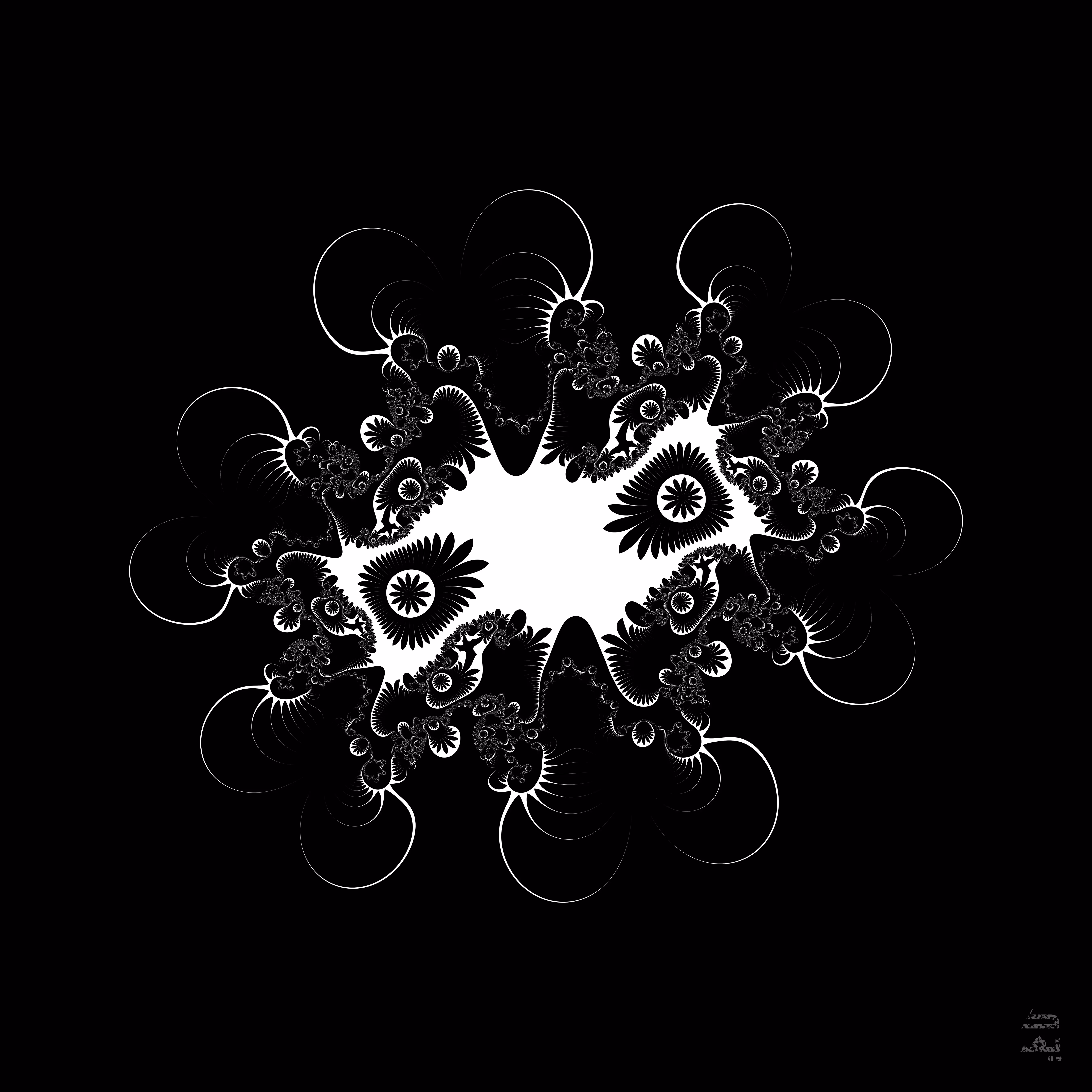 Medusa Flagellate (2015)