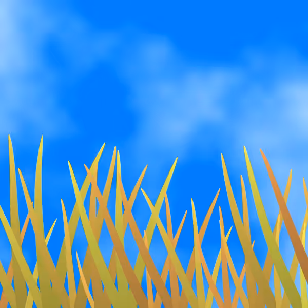 Fields of Ukraine #7