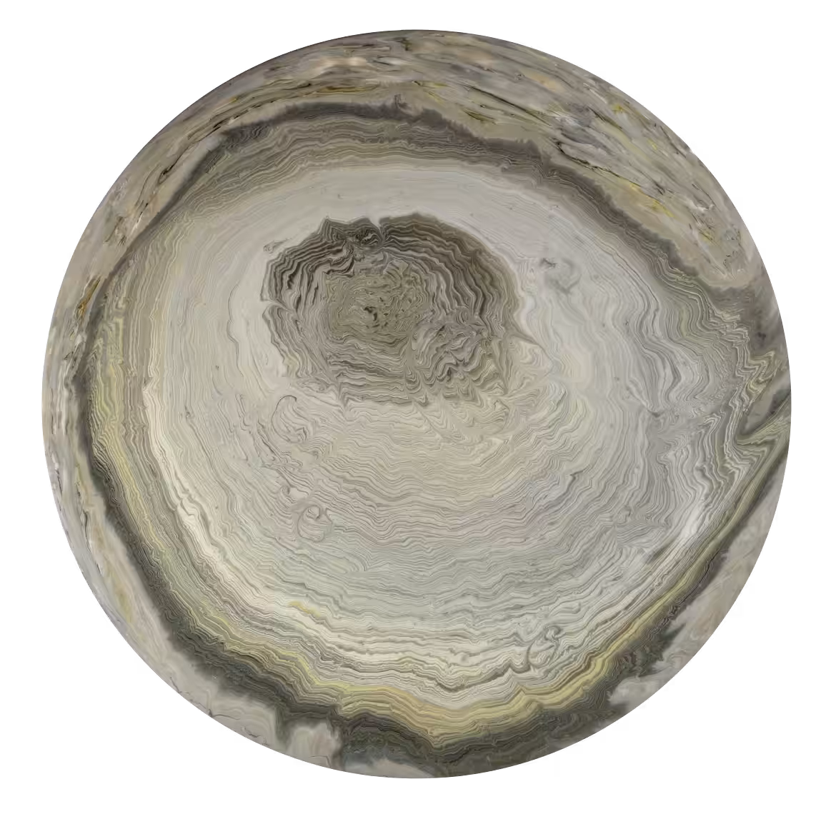 Ash Tree Ring