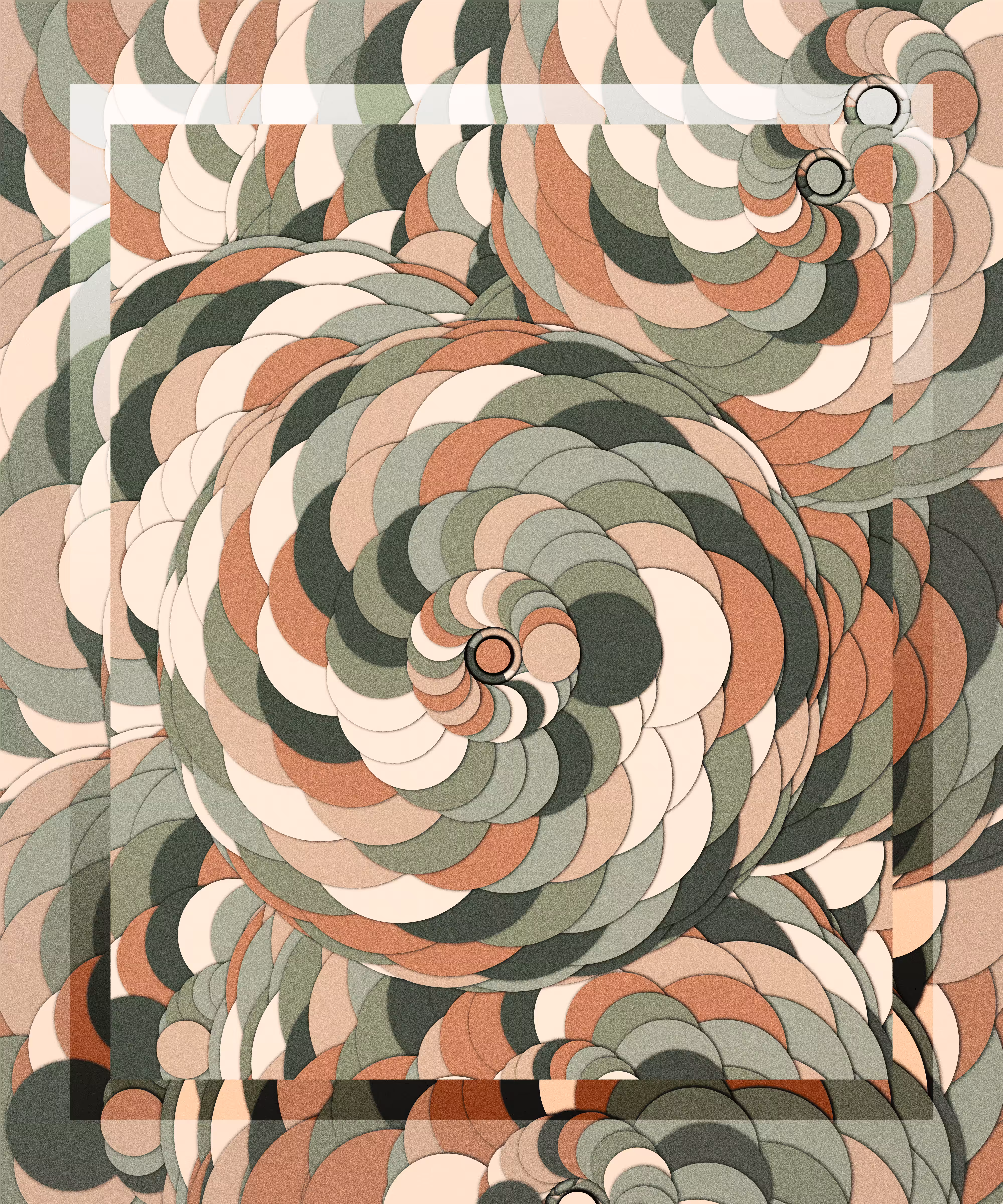 Cycloid 051