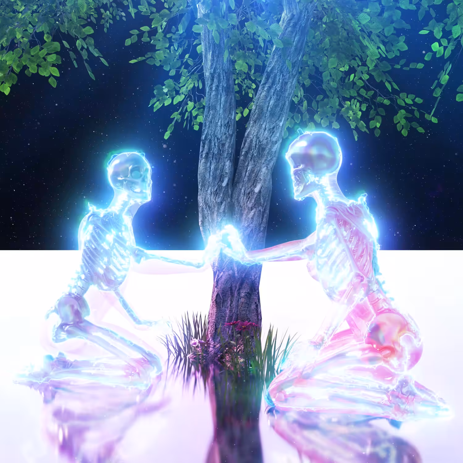Connection