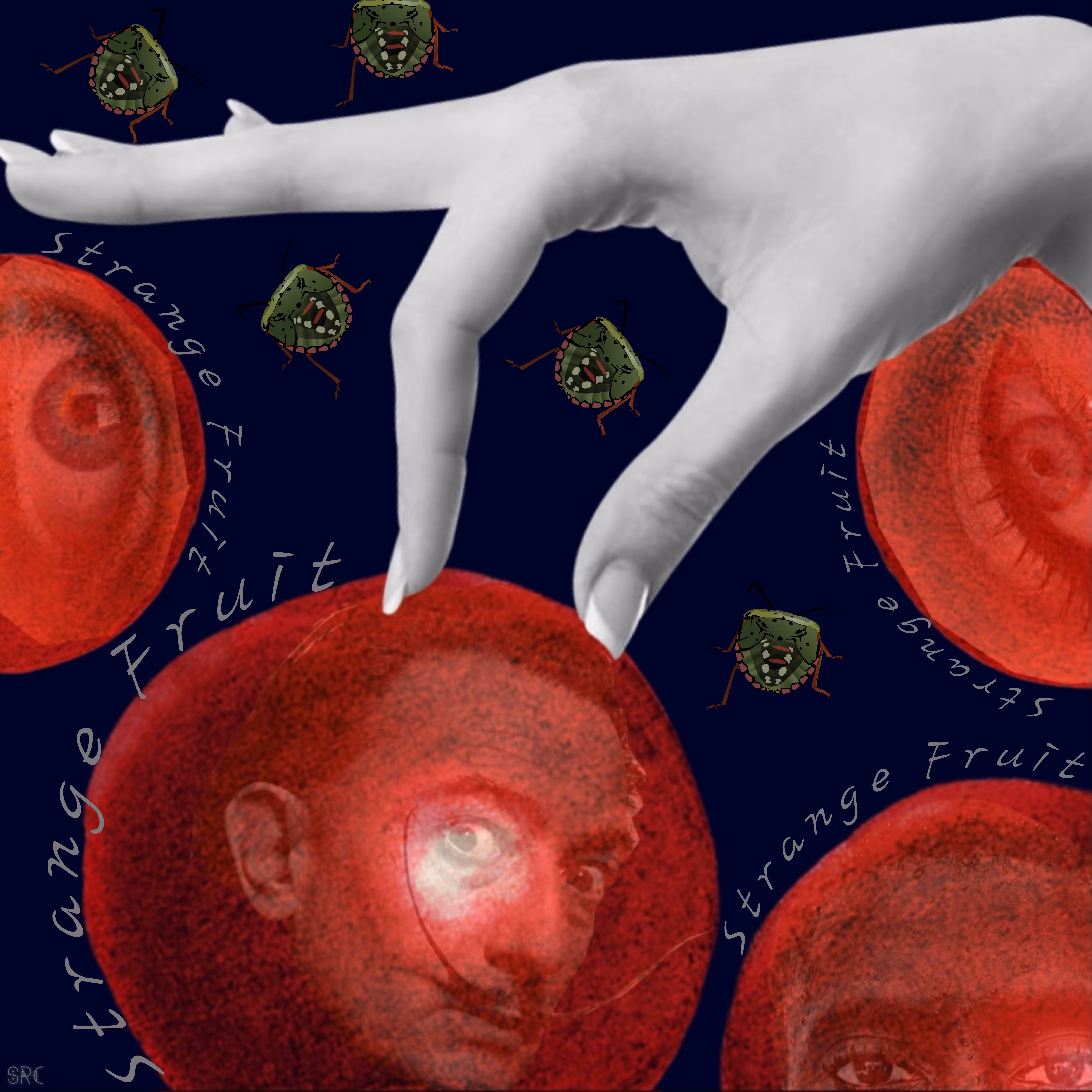 Strange  Fruit