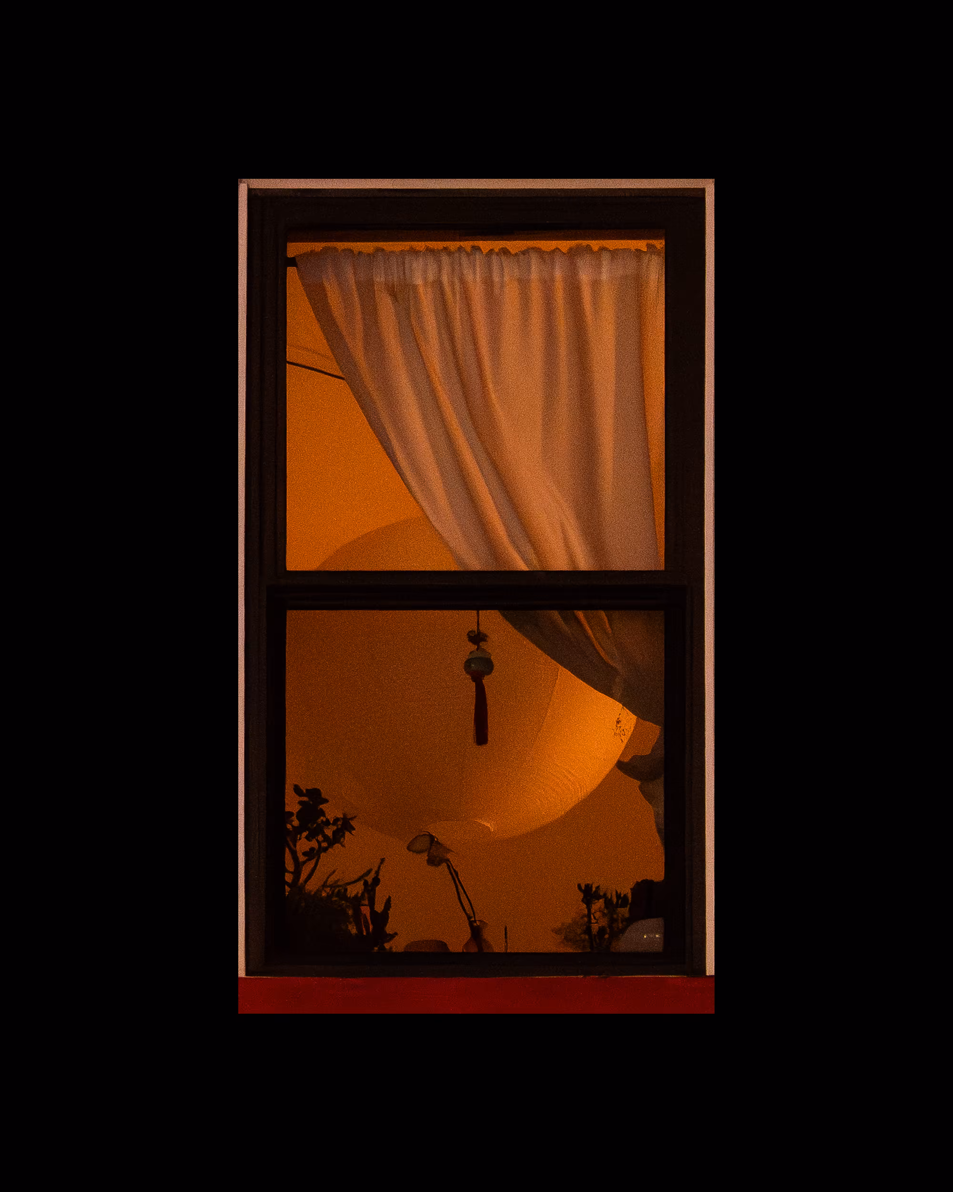 WINDOW 796