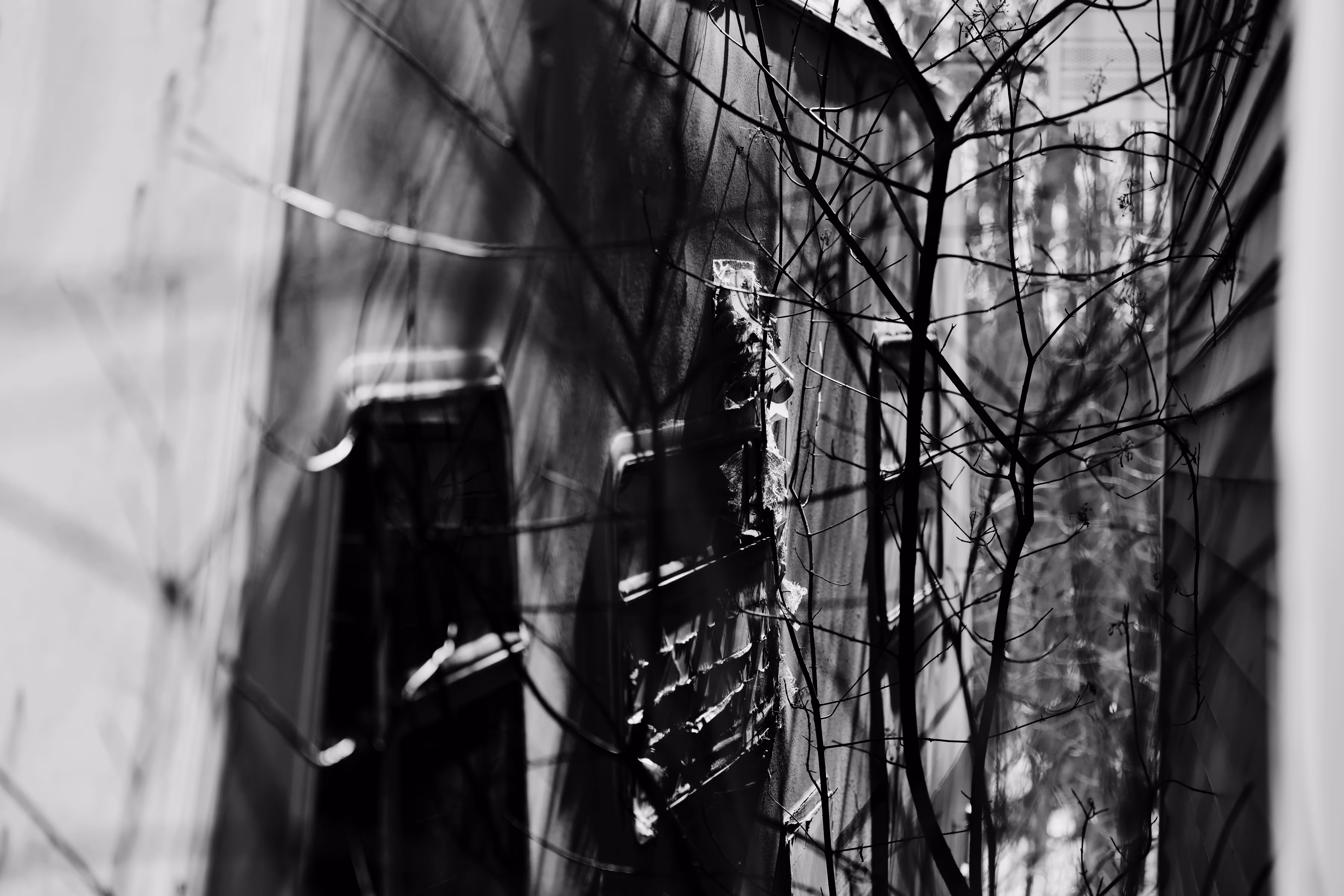 _nest