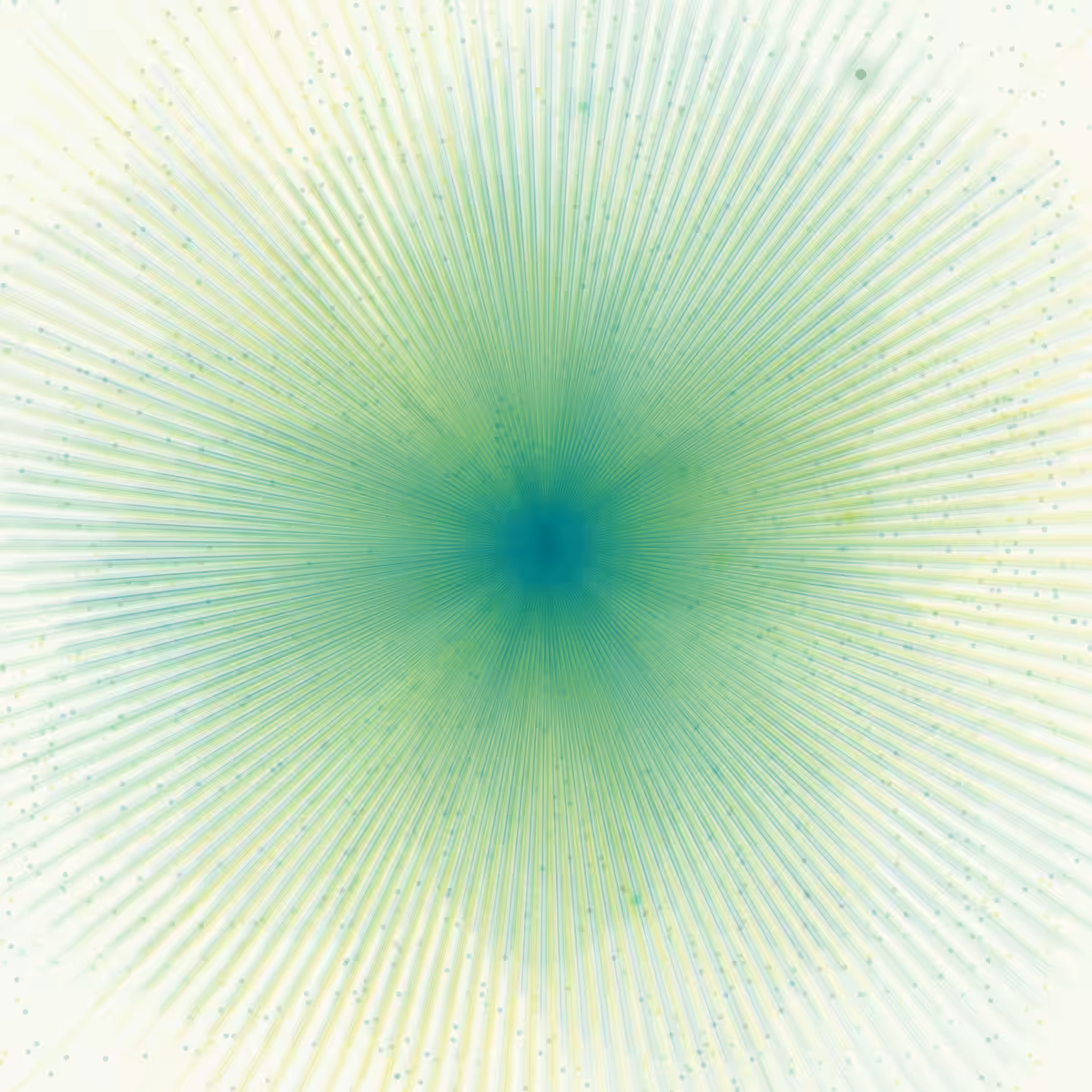Fairy of light flowering #105