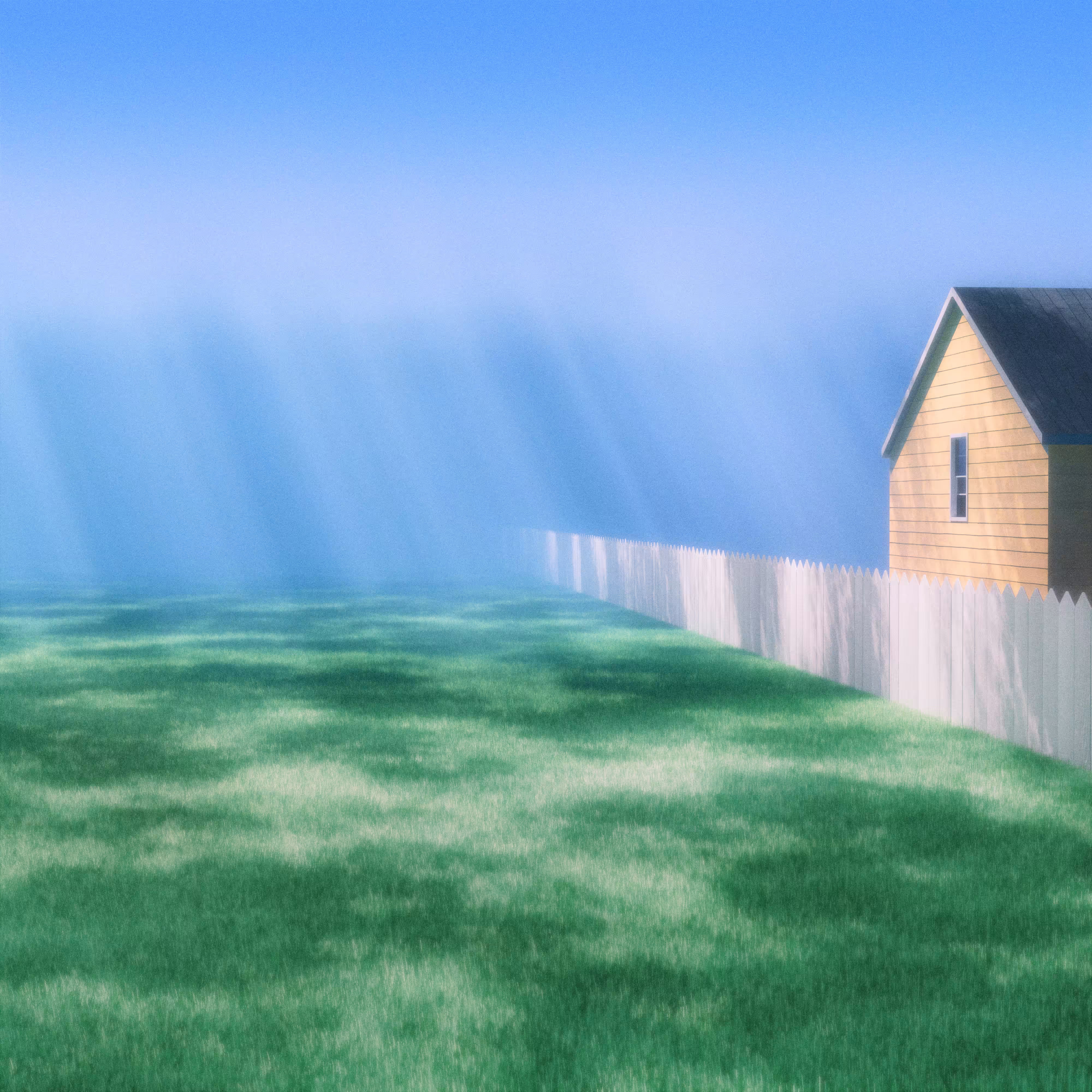 Big back yard