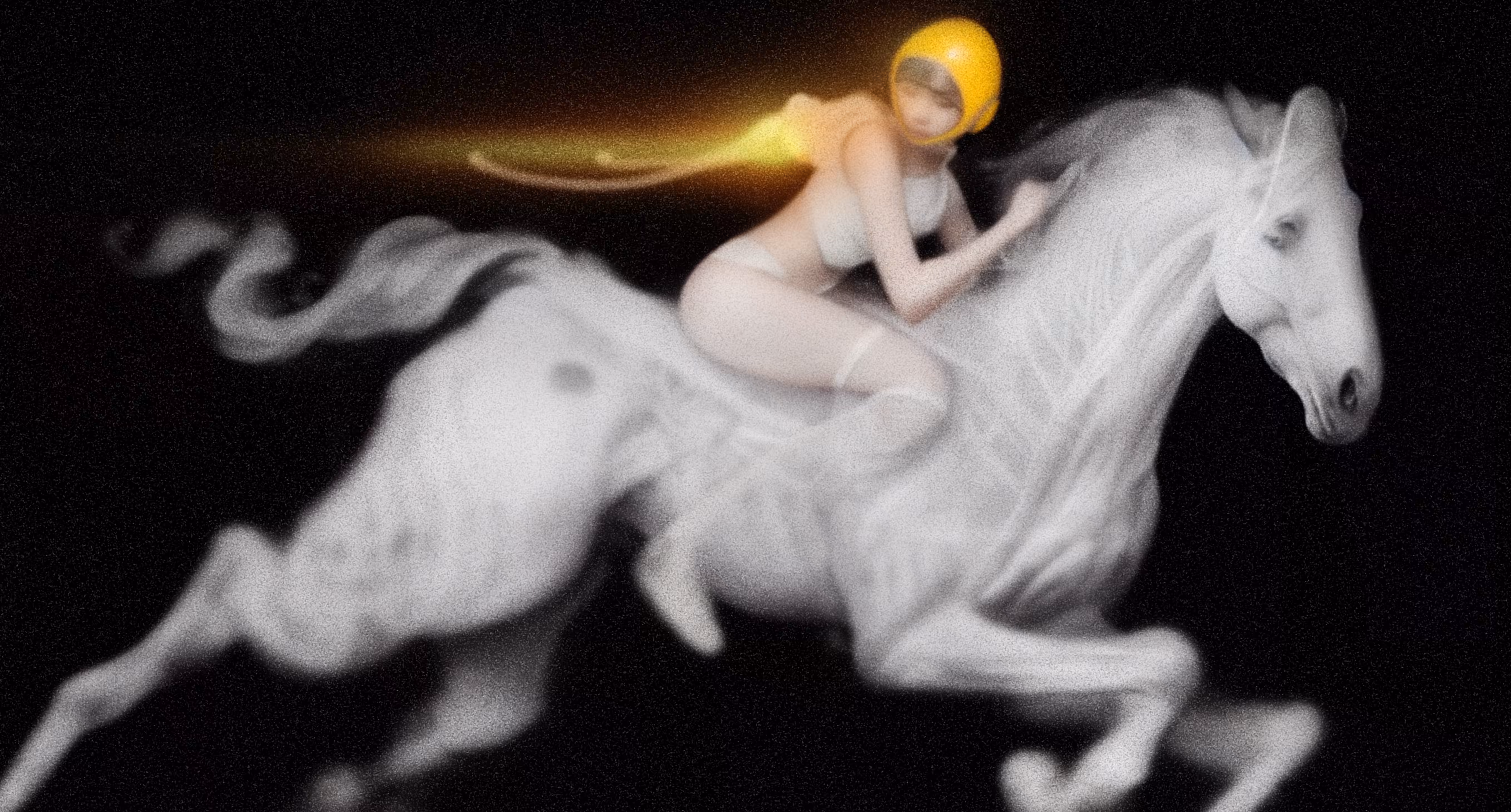 Silicone horse racing