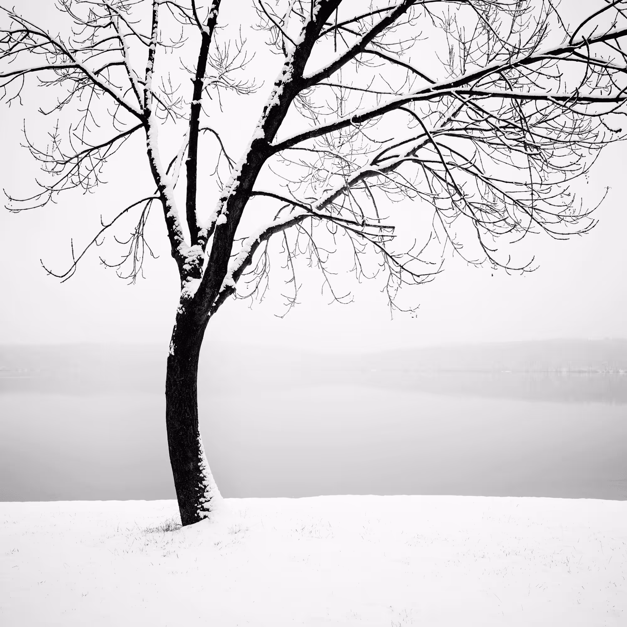 Sound of Silence #19