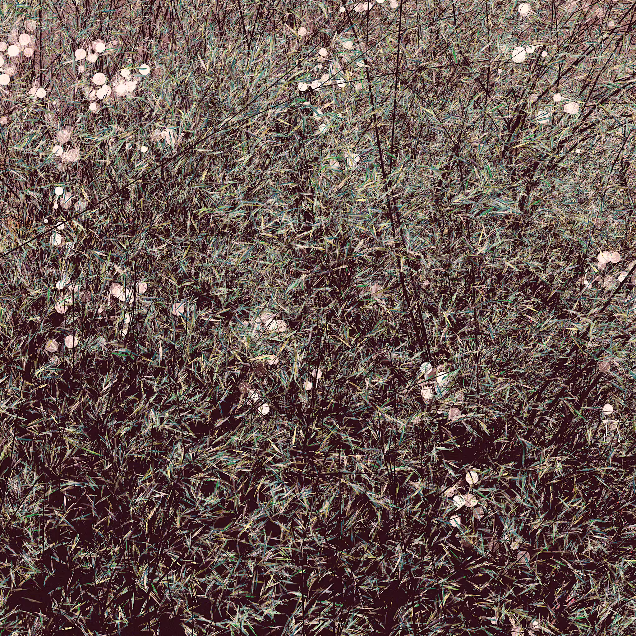 conversation with the wind