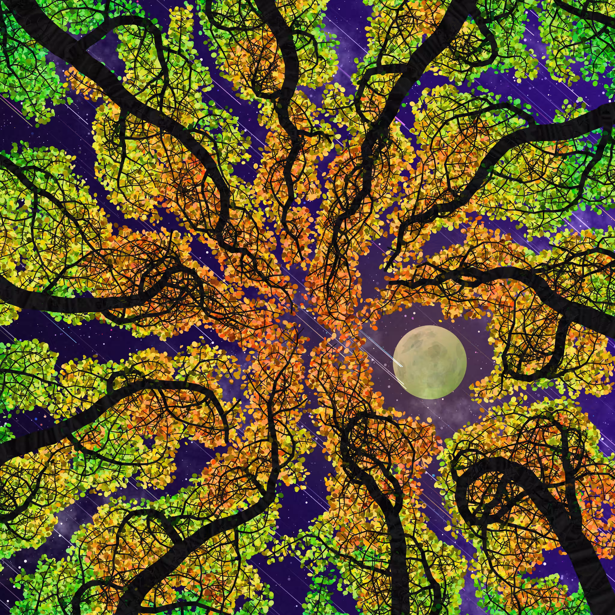 Tree Skyness #228