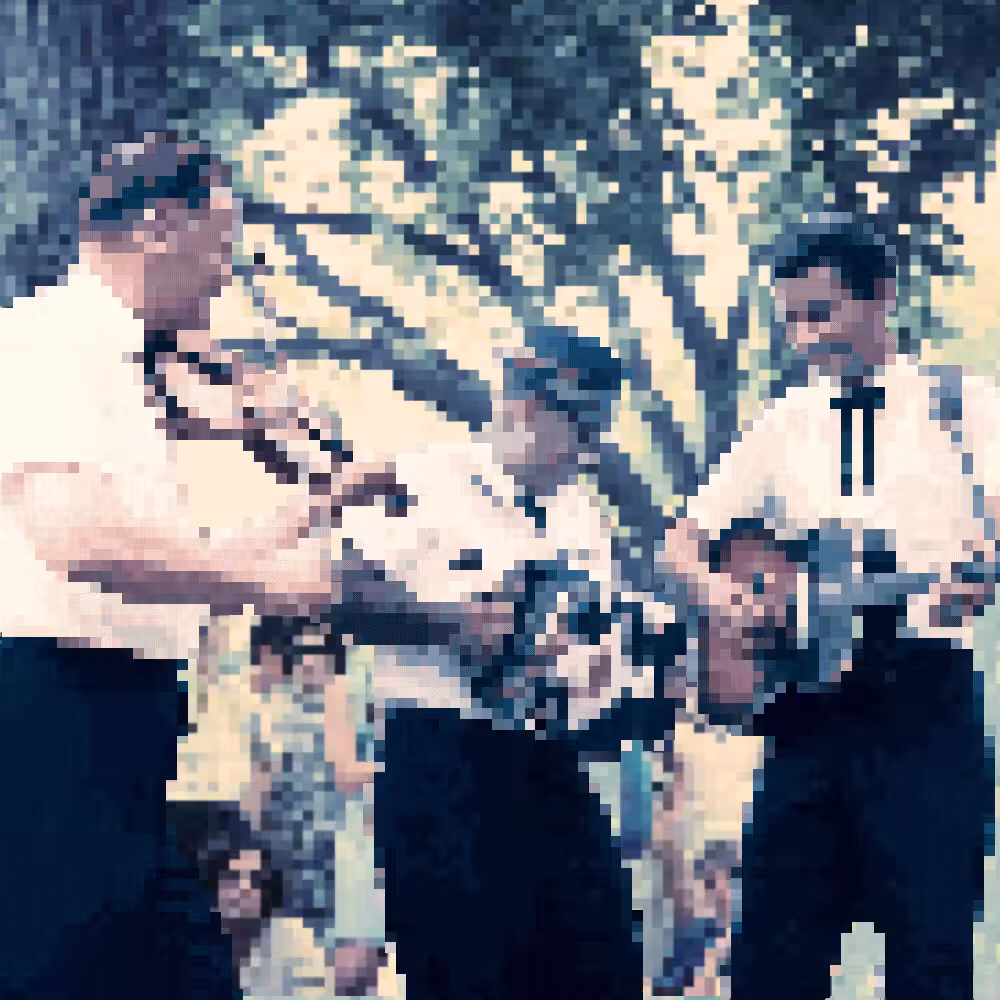The Balfa Brothers