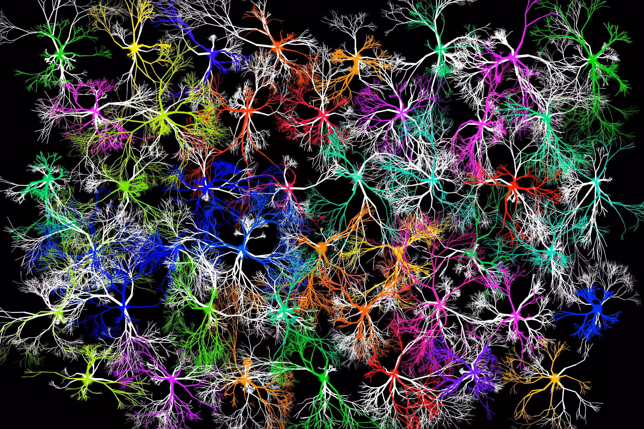 Phuz Tessellation #3