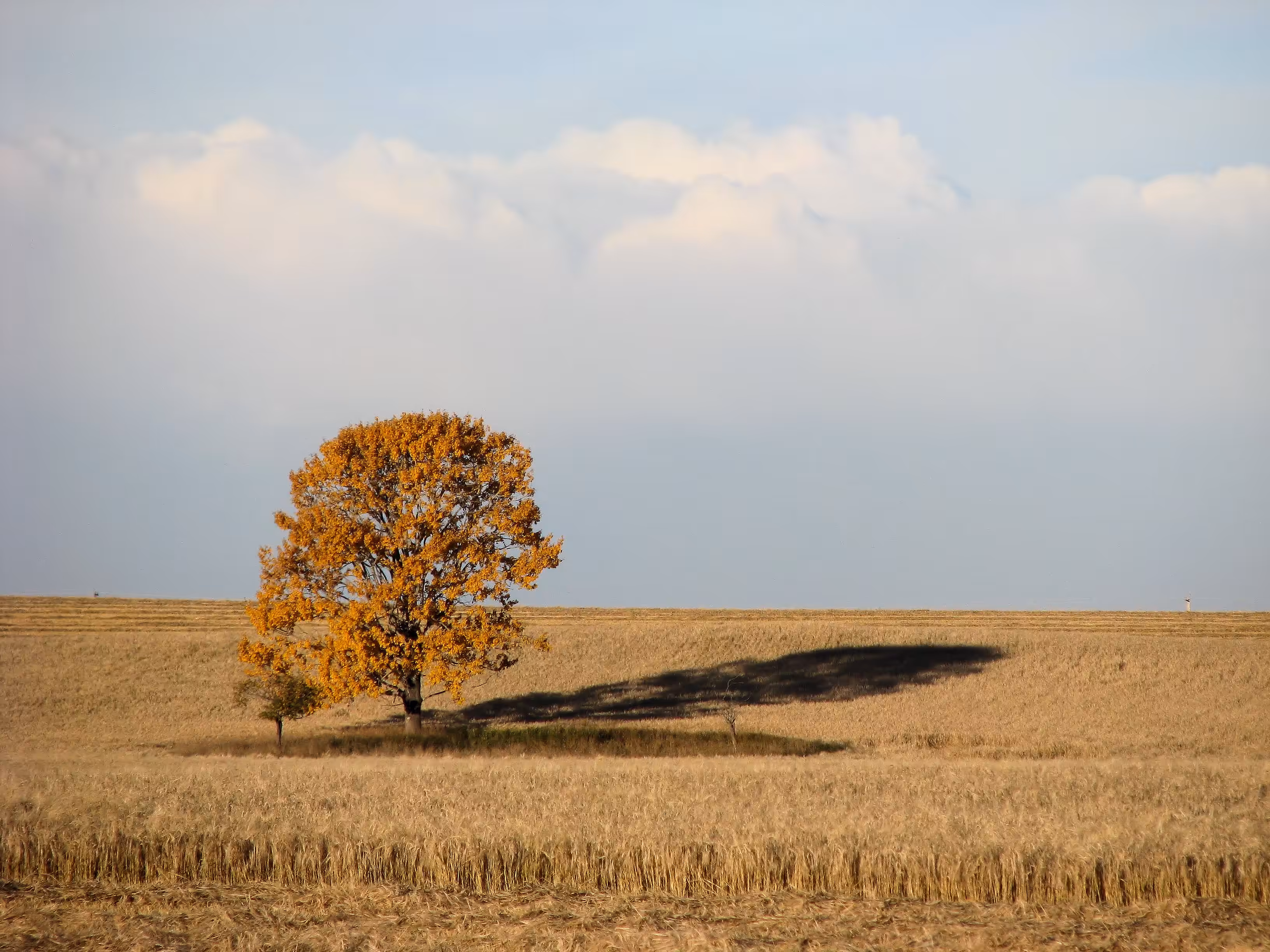 Standing alone?