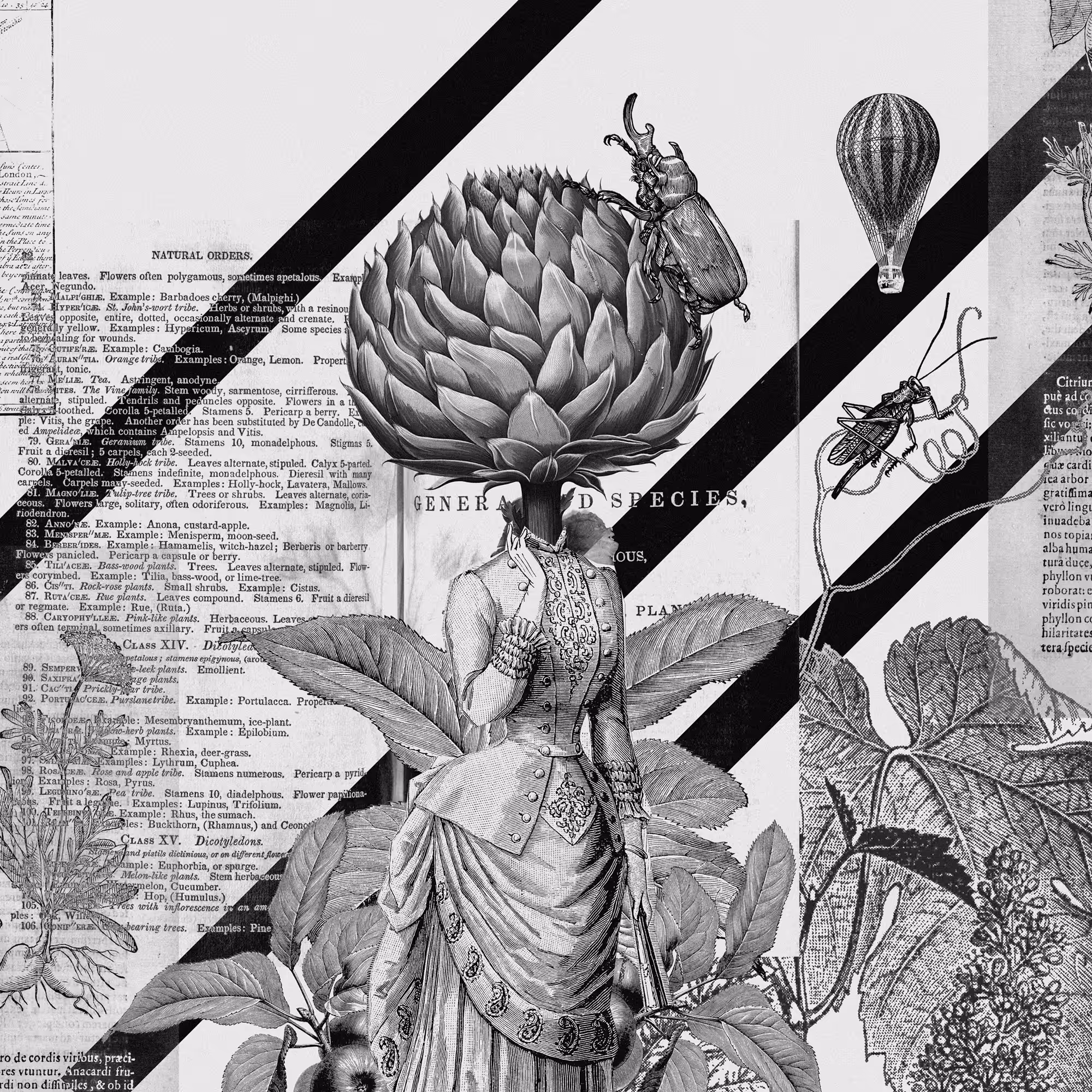 Artichoke's