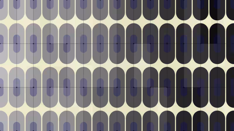 Polka #84