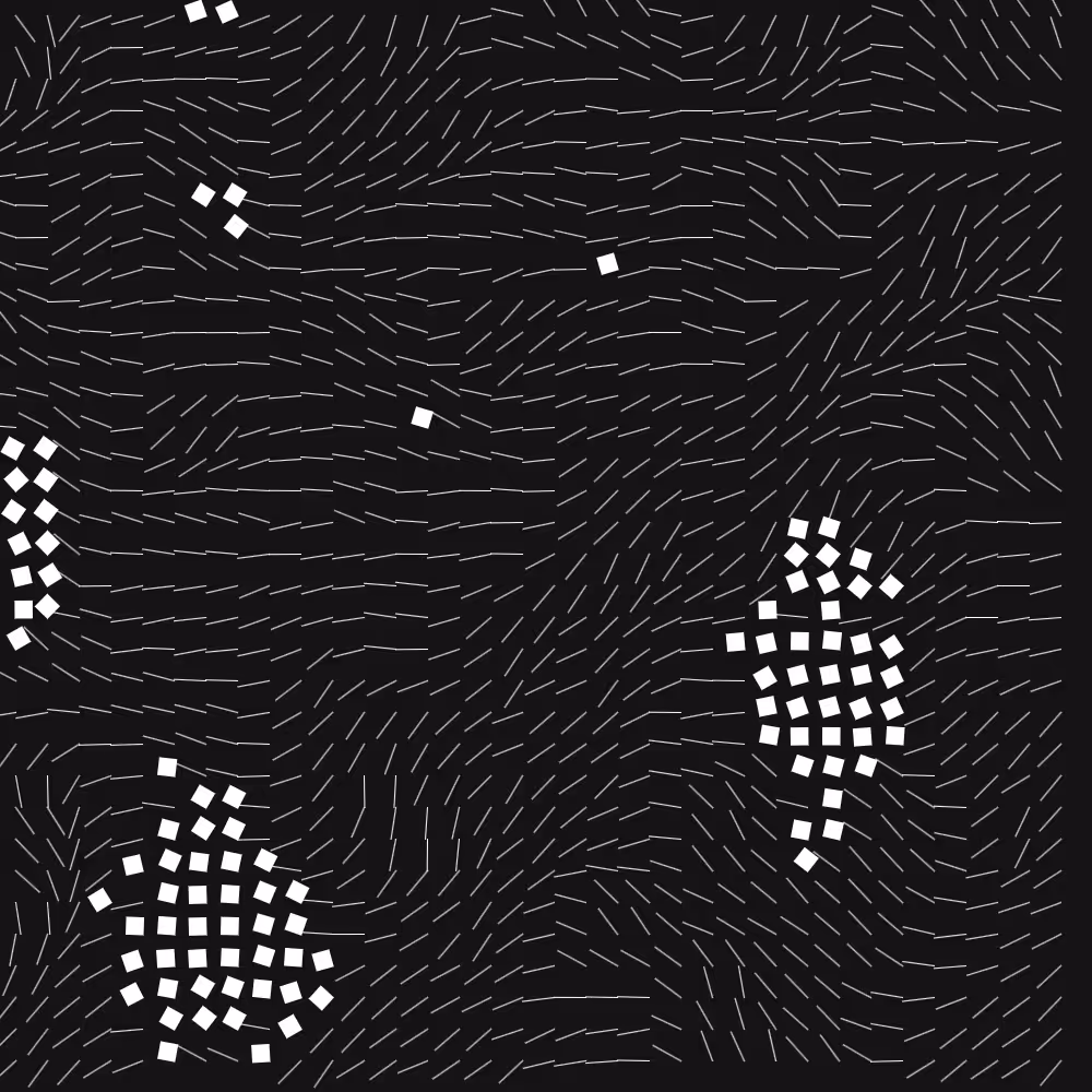 Geometric Fluidity #783