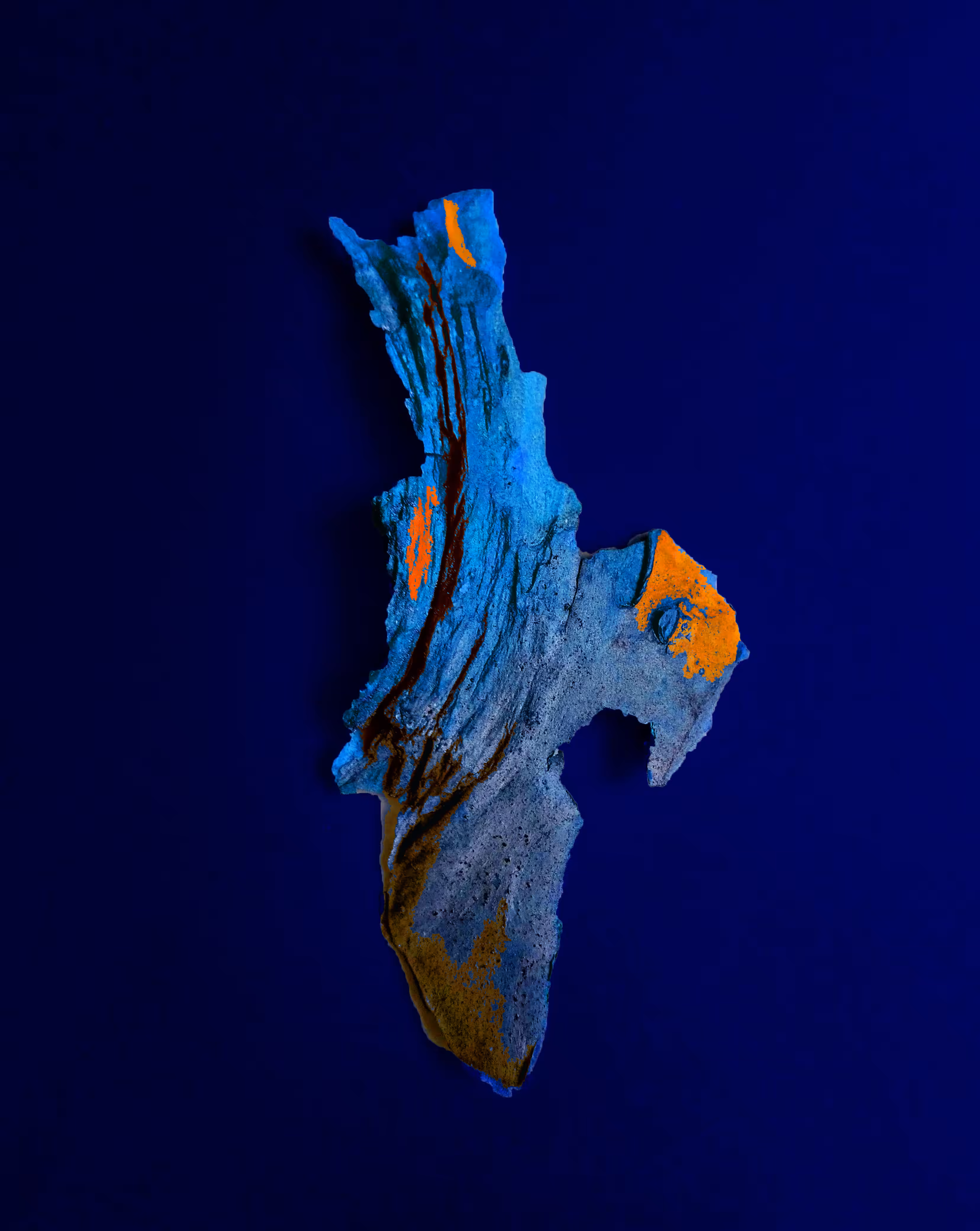 Blue bird