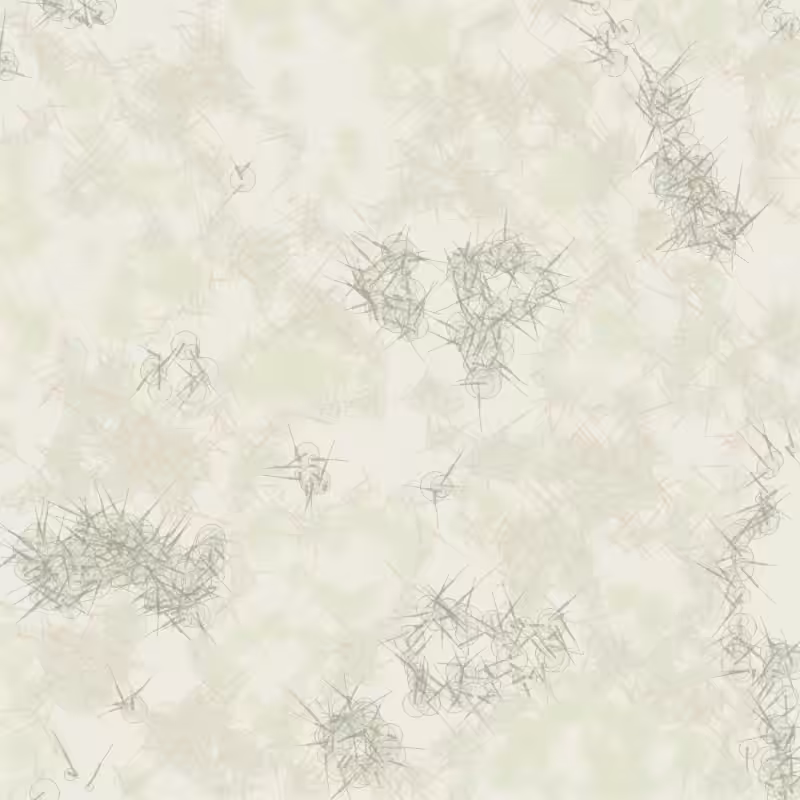 Petri 1500 v2 QHD  #546