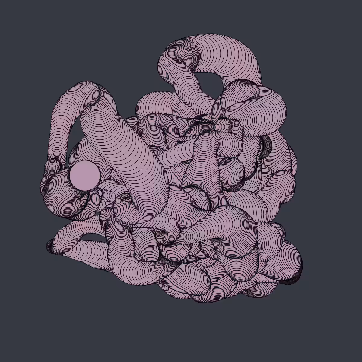 TWIST #36