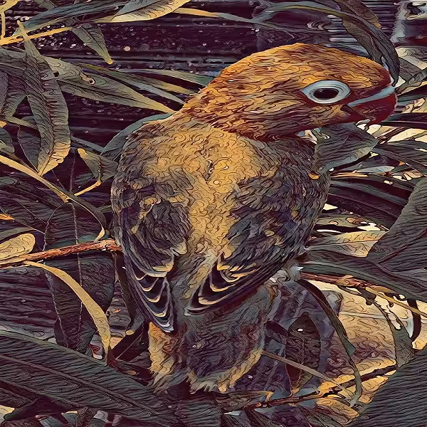 Animal_Art #6